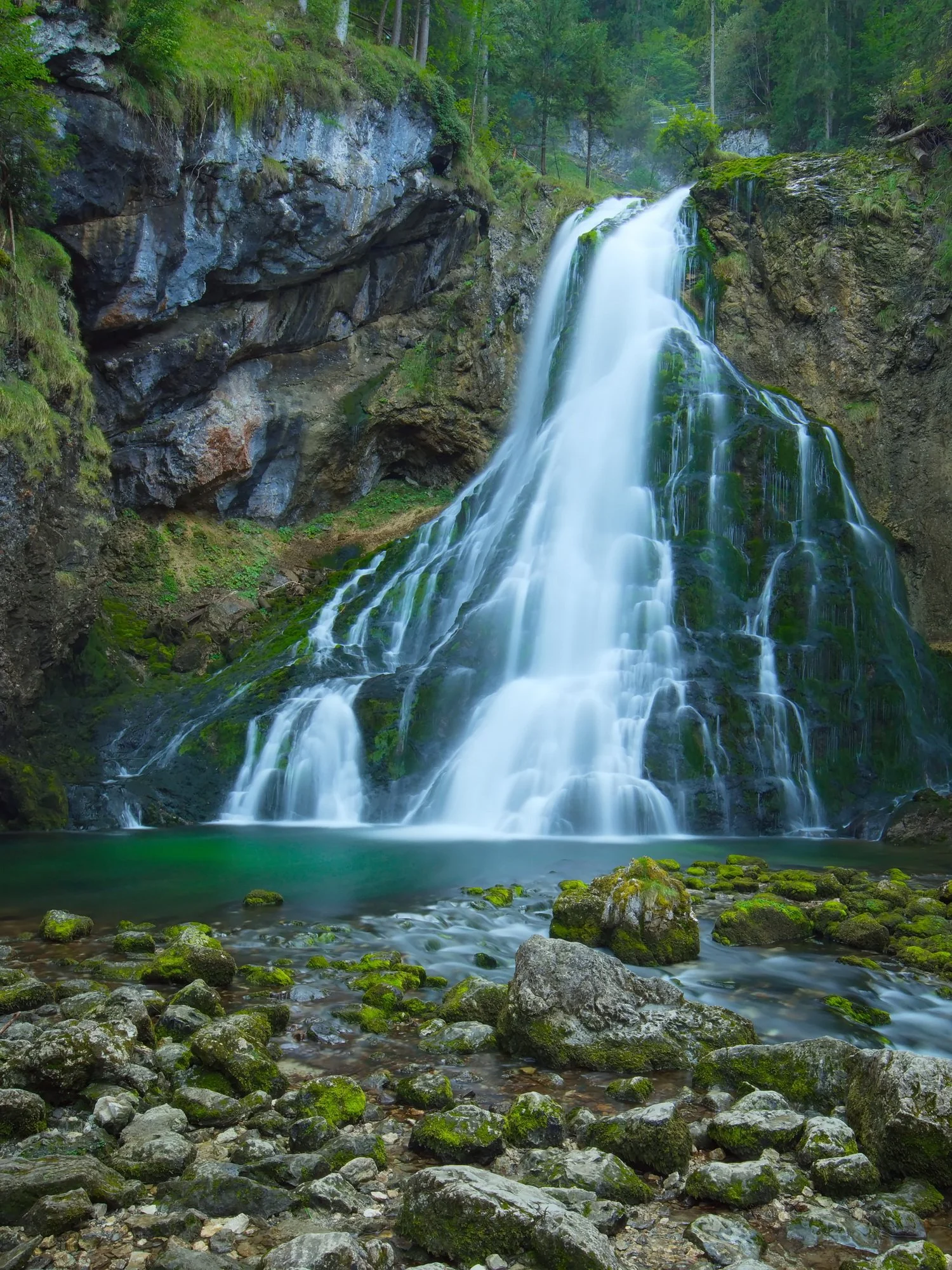  Fotograf/-in:  Alfred Nevsimal  
 Titel:  Schwarzbachfall  
   Alfred Nevsimal   