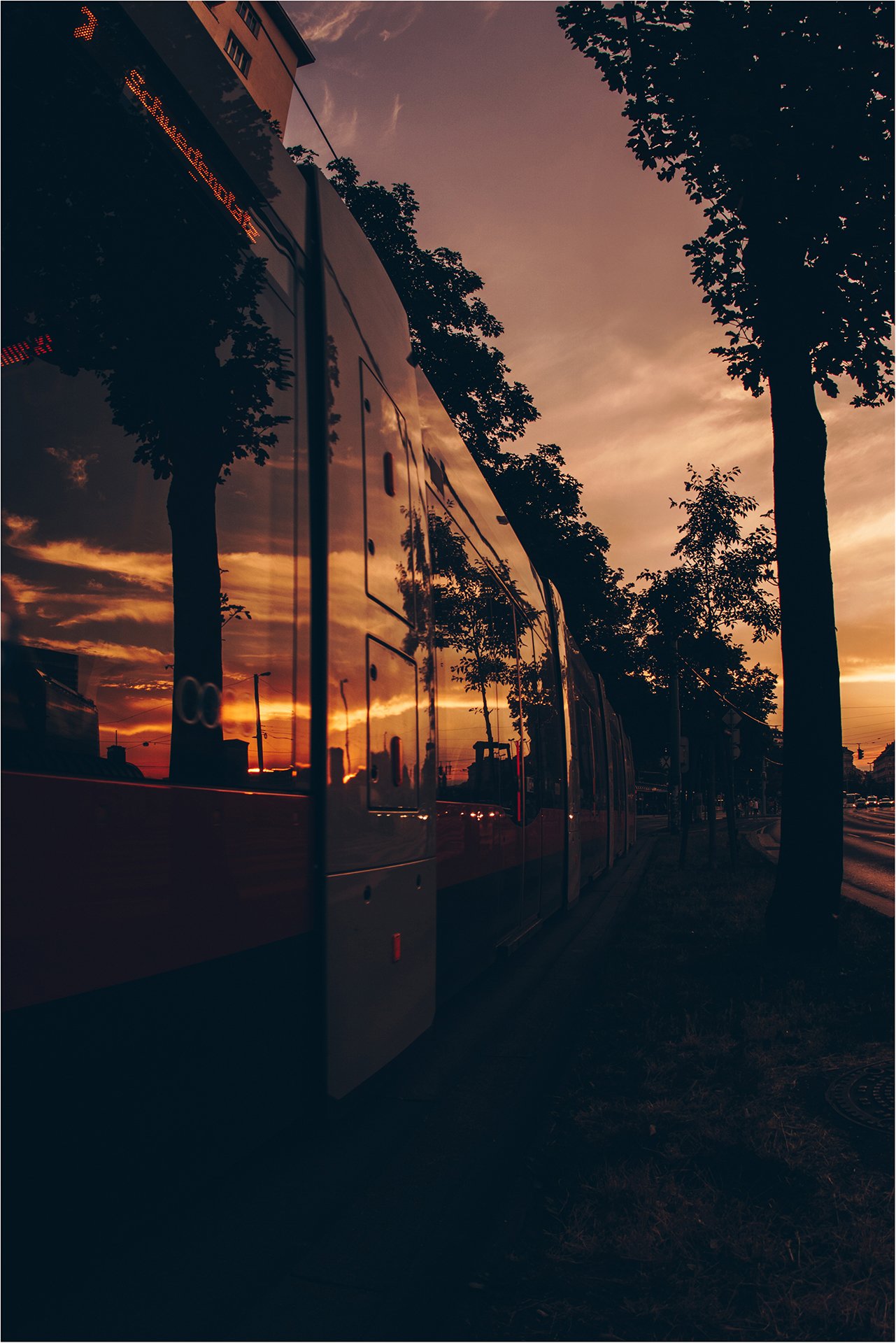 Gabriela Pintea_Im Bann der Dämmerung.jpg