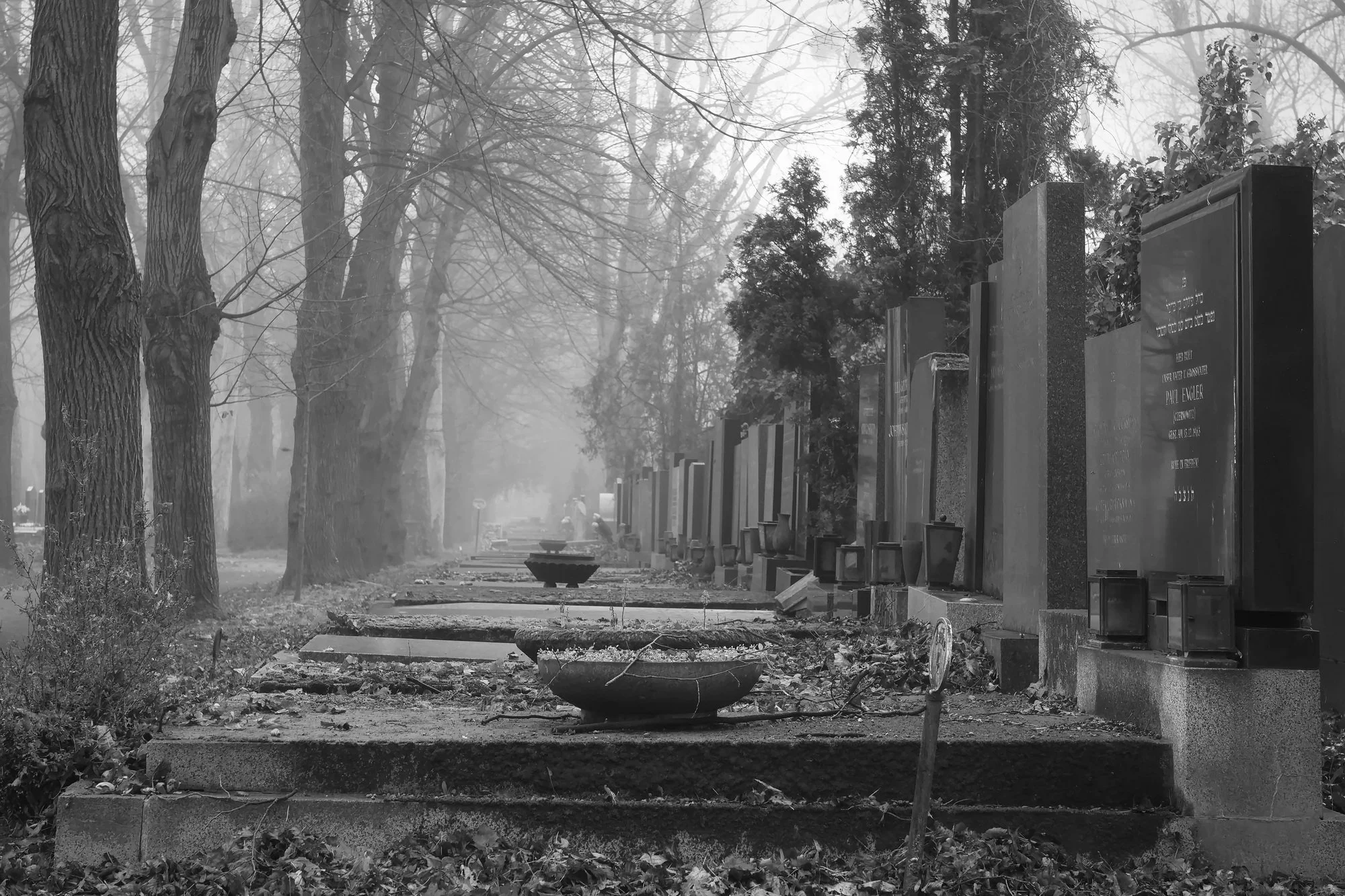  Fotograf/-in:  Alfred Nevsimal  
 Titel:  Zentralfriedhof  
   Alfred Nevsimal   