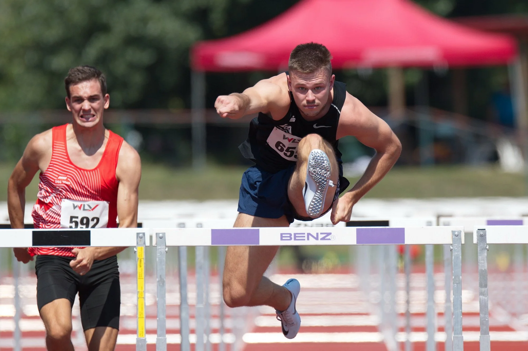  Fotograf/-in:  Alfred Nevsimal  
 Titel:  Lorenz  
   Alfred Nevsimal   