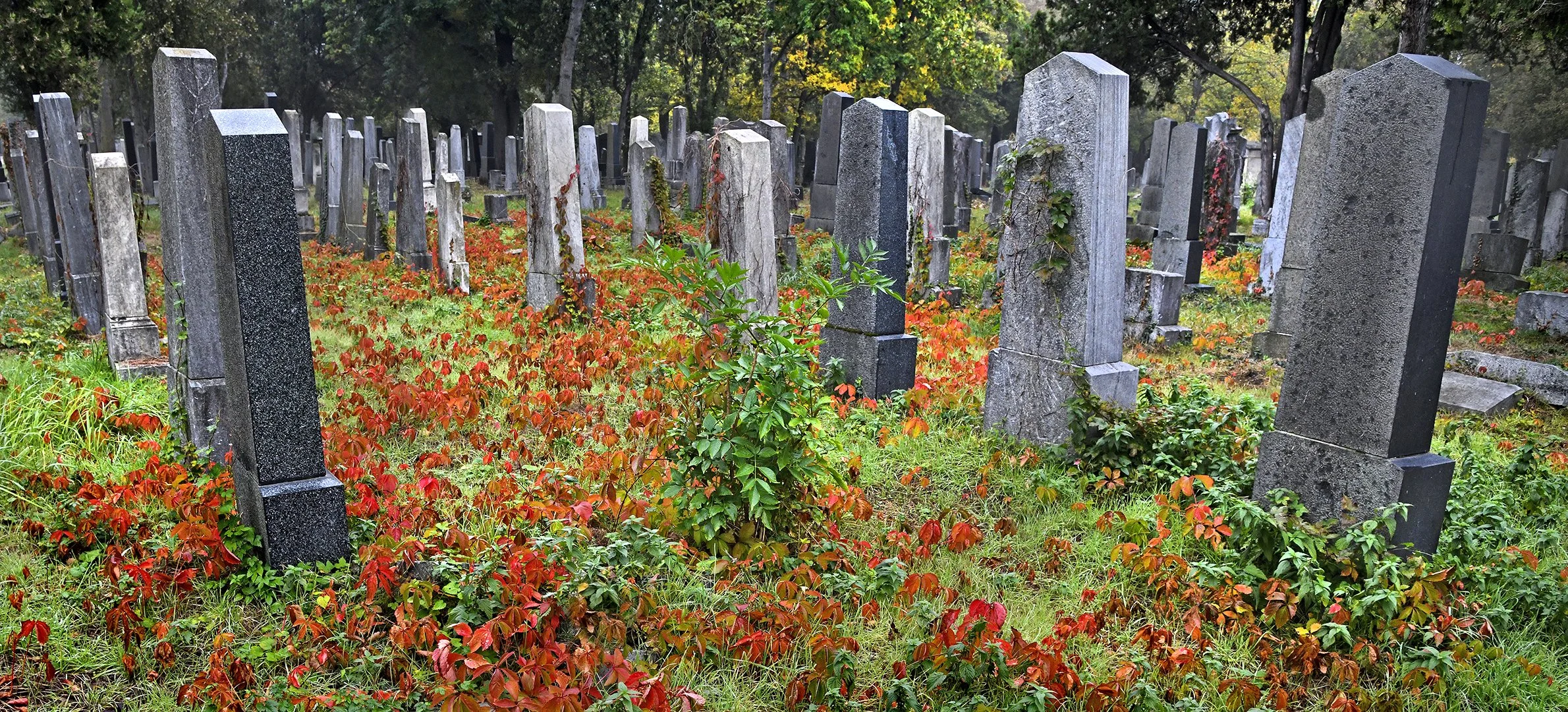 Zentralfriedhof Manfred Baumgartner 15.jpg