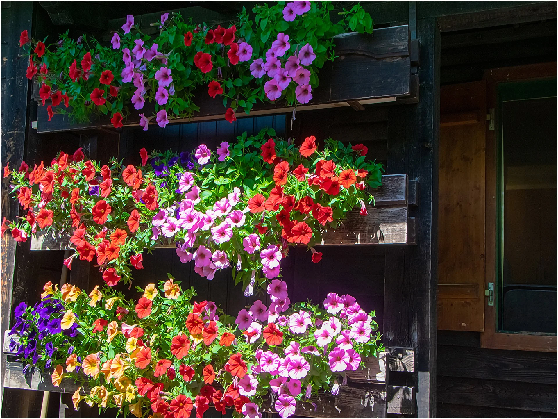 Blumige Almhütte.jpg