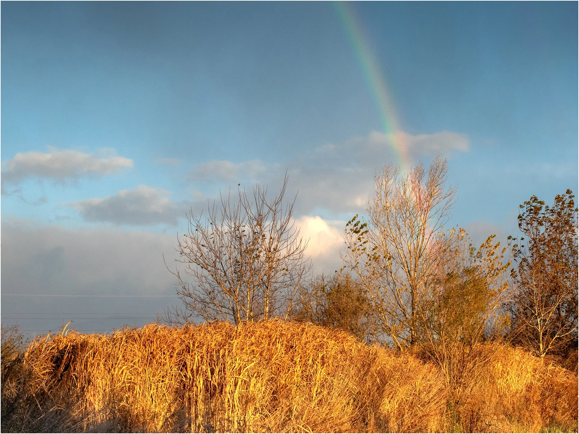 Rainbow.jpg