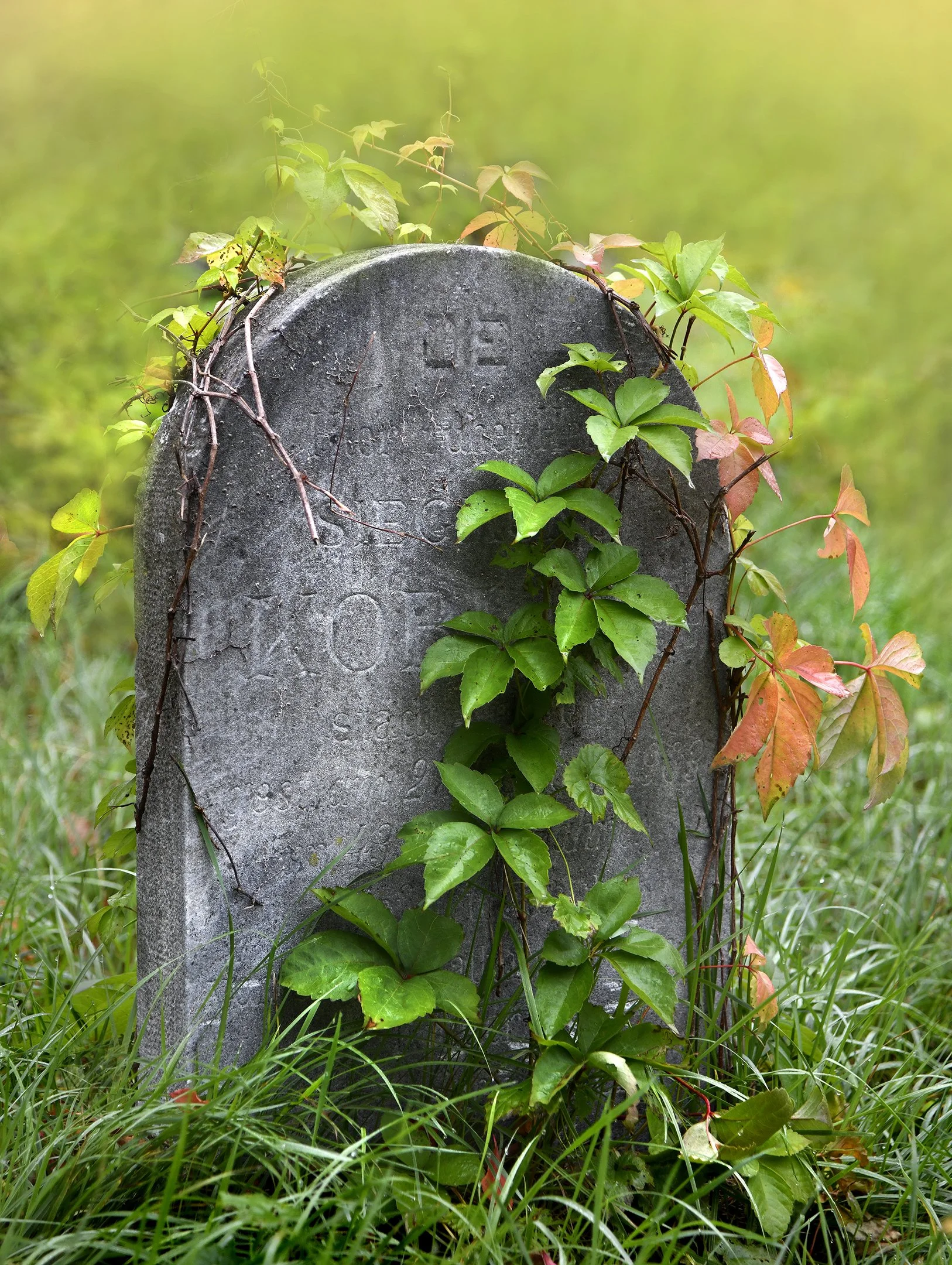 Zentralfriedhof Manfred Baumgartner 19.jpg