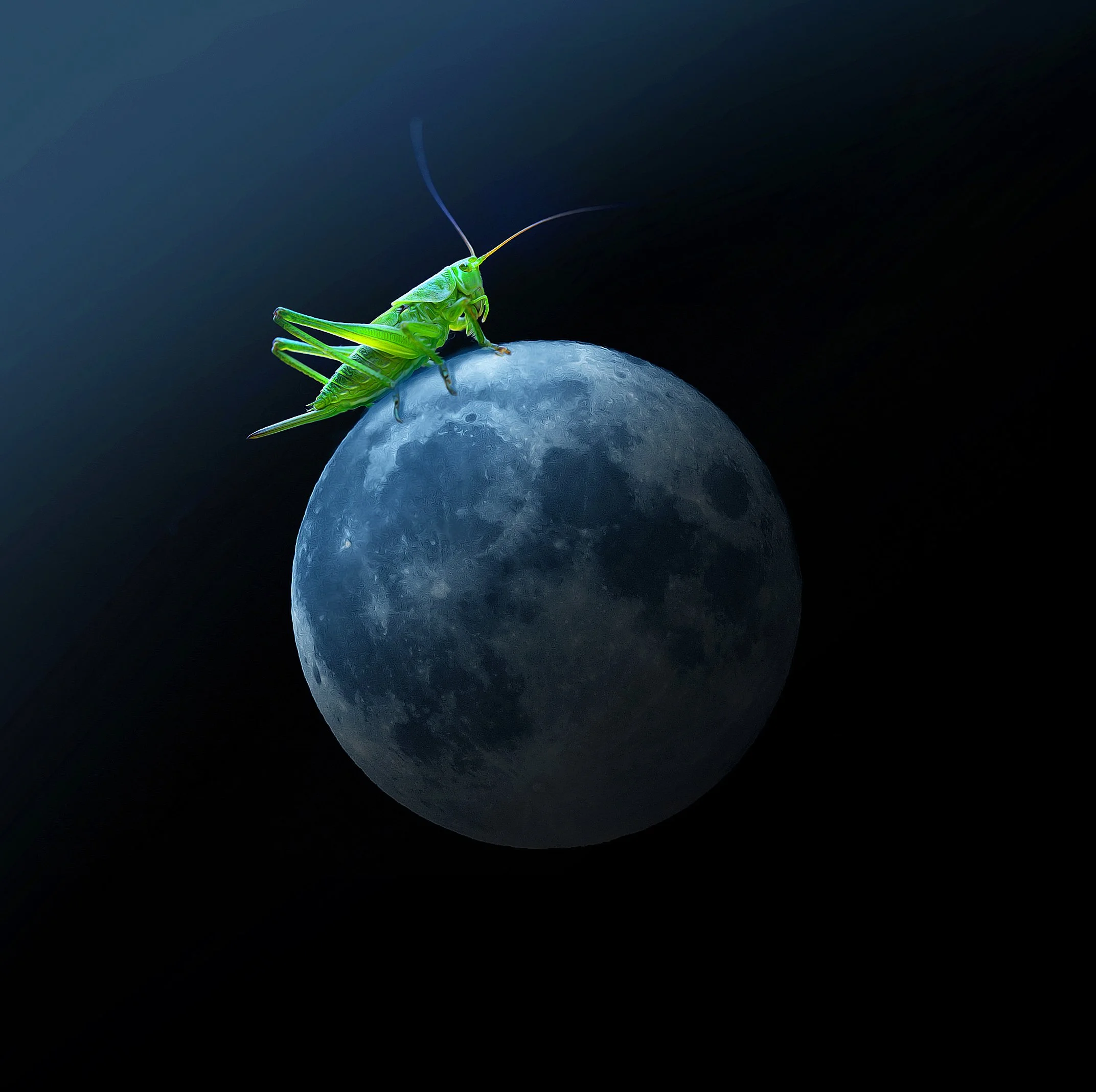 Großes klein_Kleines groß Manfred Baumgartner_Moonhopper.jpg