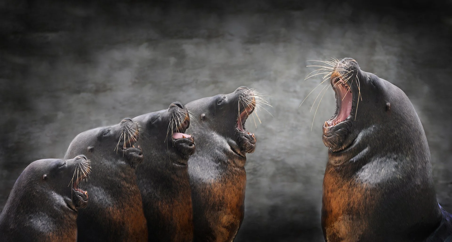 Andreas Baumgartner - Bild 1