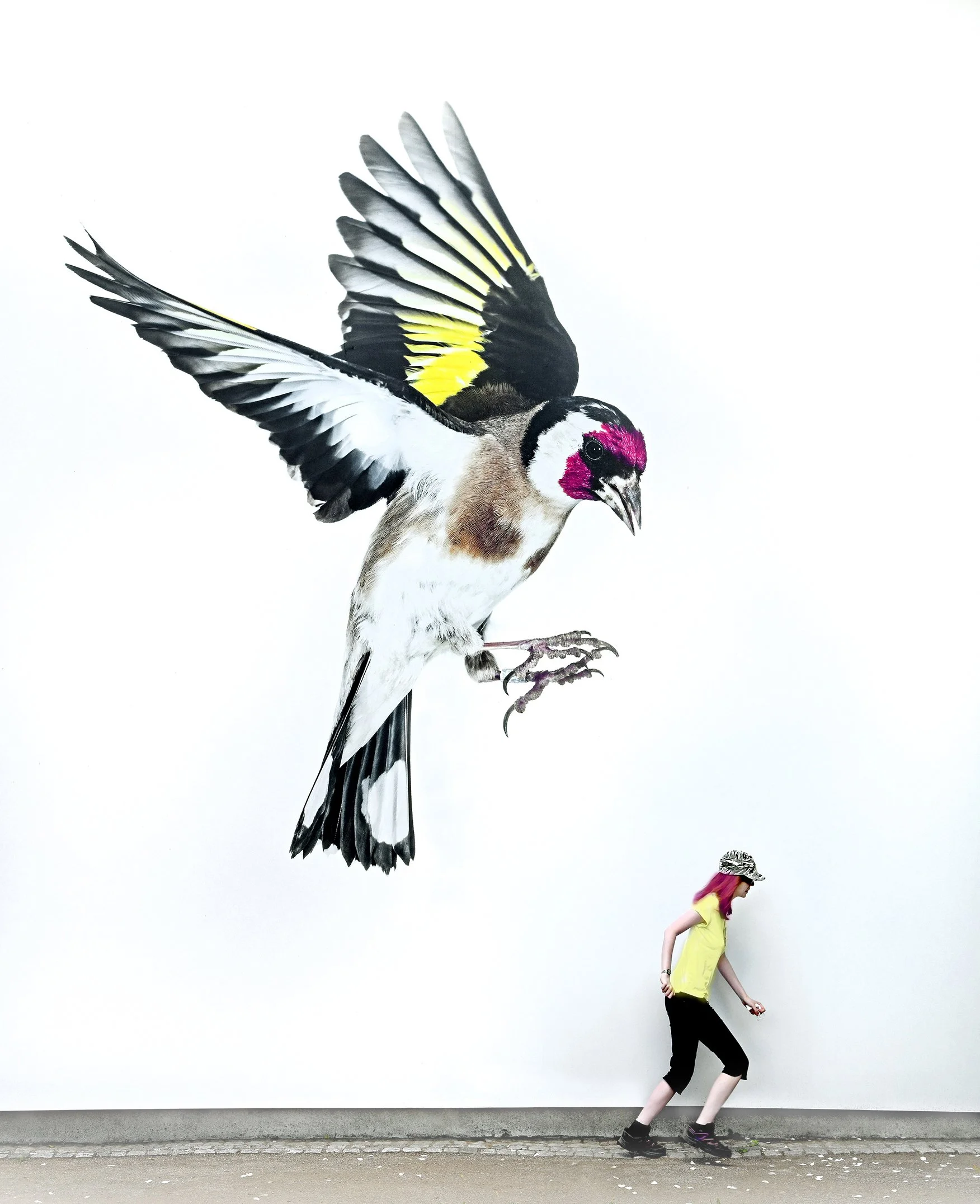 Großes klein_Kleines groß Manfred Baumgartner_Birdie.jpg