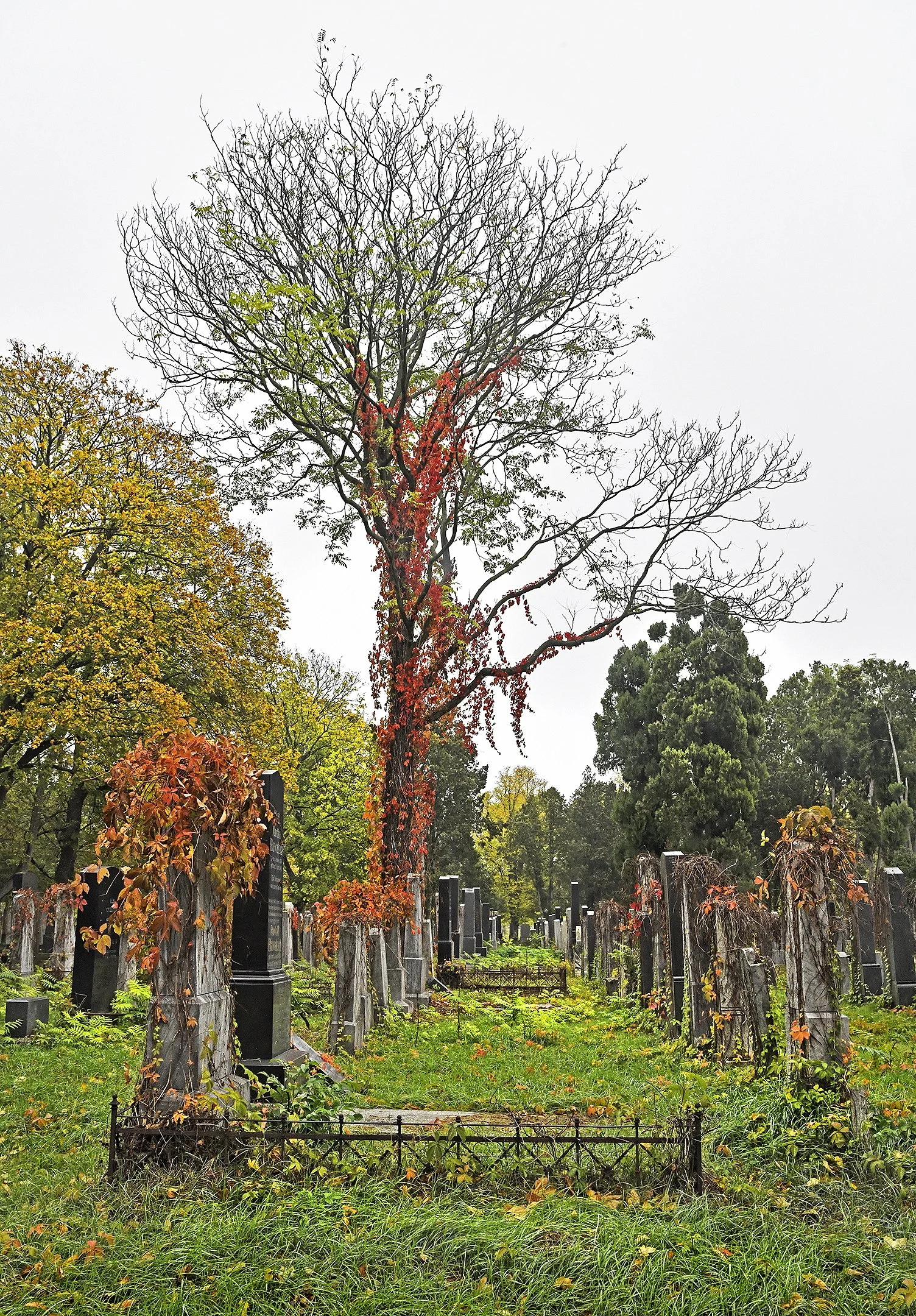 Zentralfriedhof Manfred Baumgartner 17.jpg