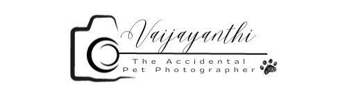 Vaijayanthi The Accidental Pet Photographer