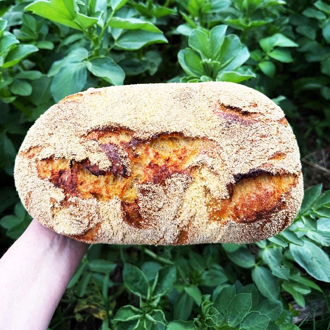 Pumpkin Polenta and Miso Loaf