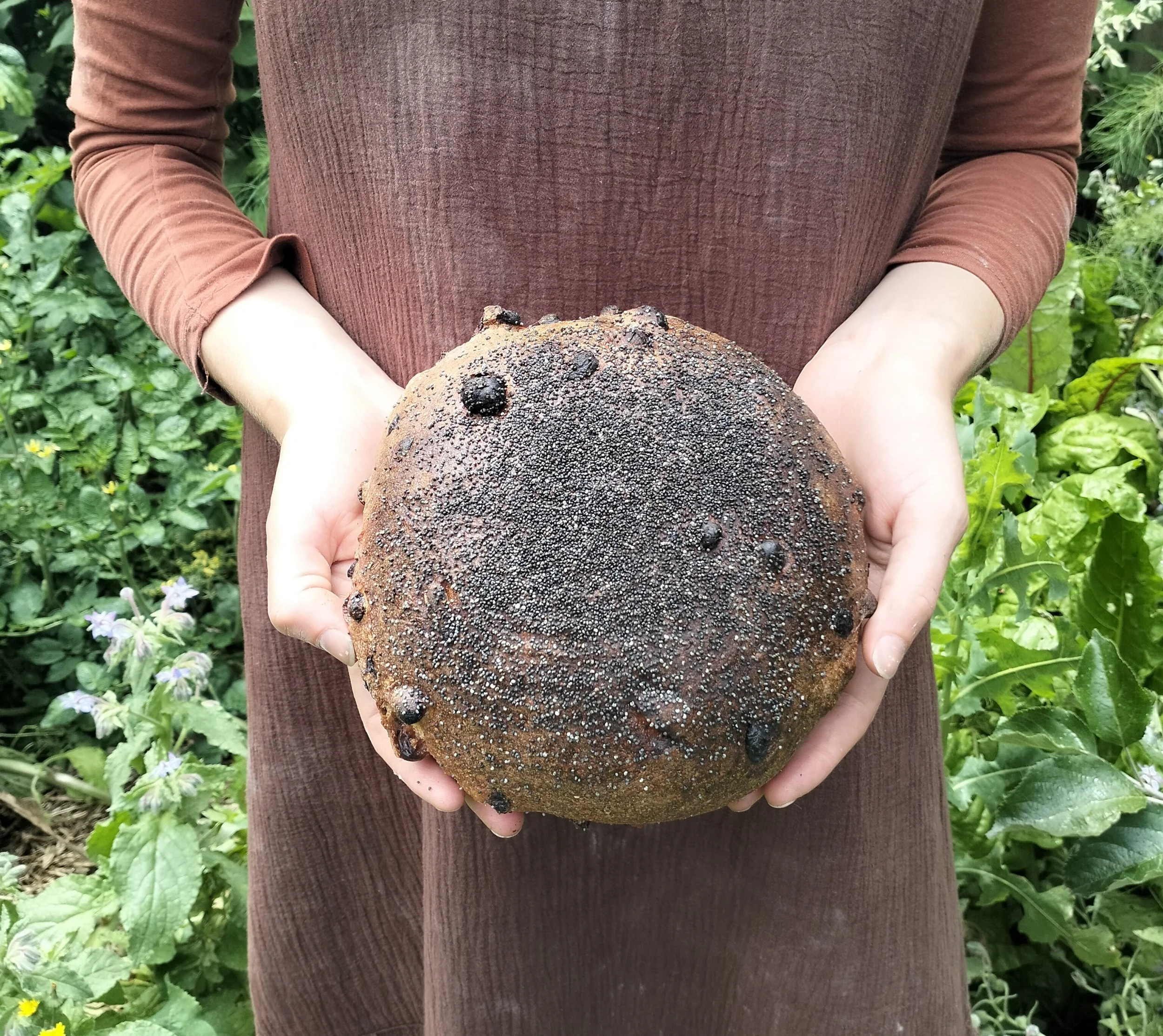 Koraleigh Fruit