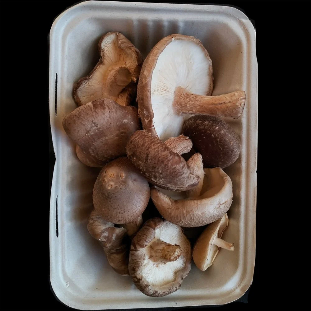 Wombat-Forest-Organics-Shiitake-Box.jpg
