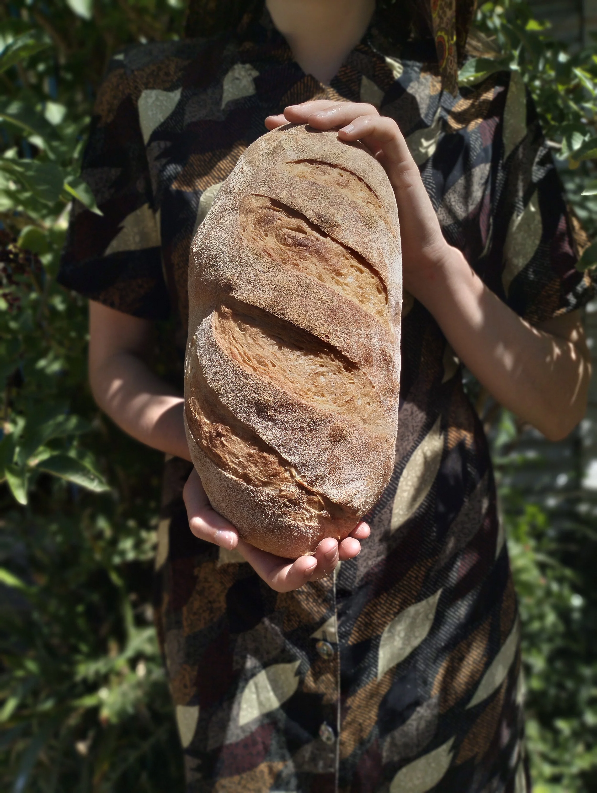 Classic White Vienna