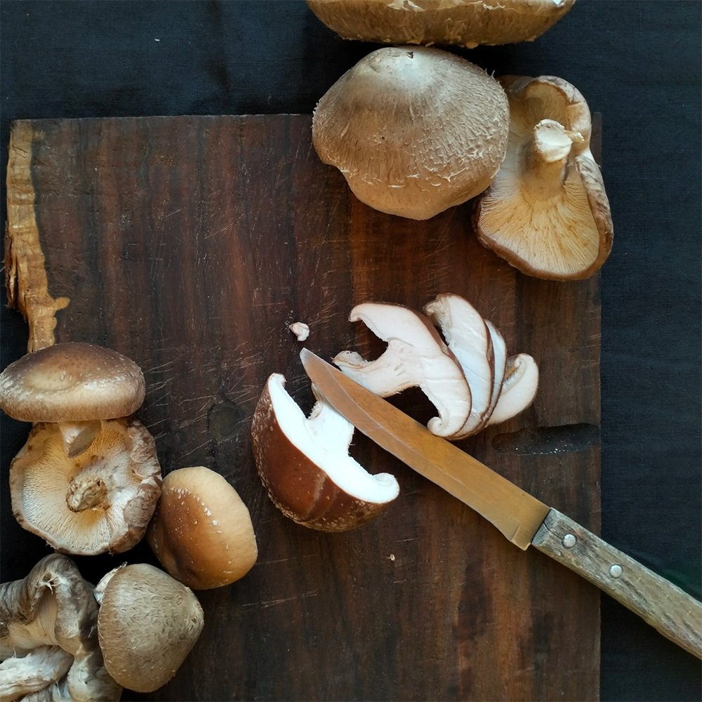 Wombat-Forest-Organics-Shiitake-Chopping-Board.jpg