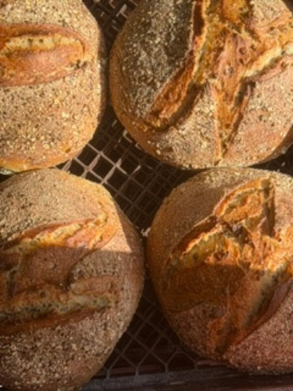 Wimmera Grains (Round Loaf)
