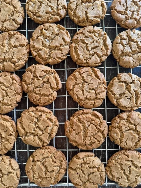 Ginger Biscuits (pk of 5)