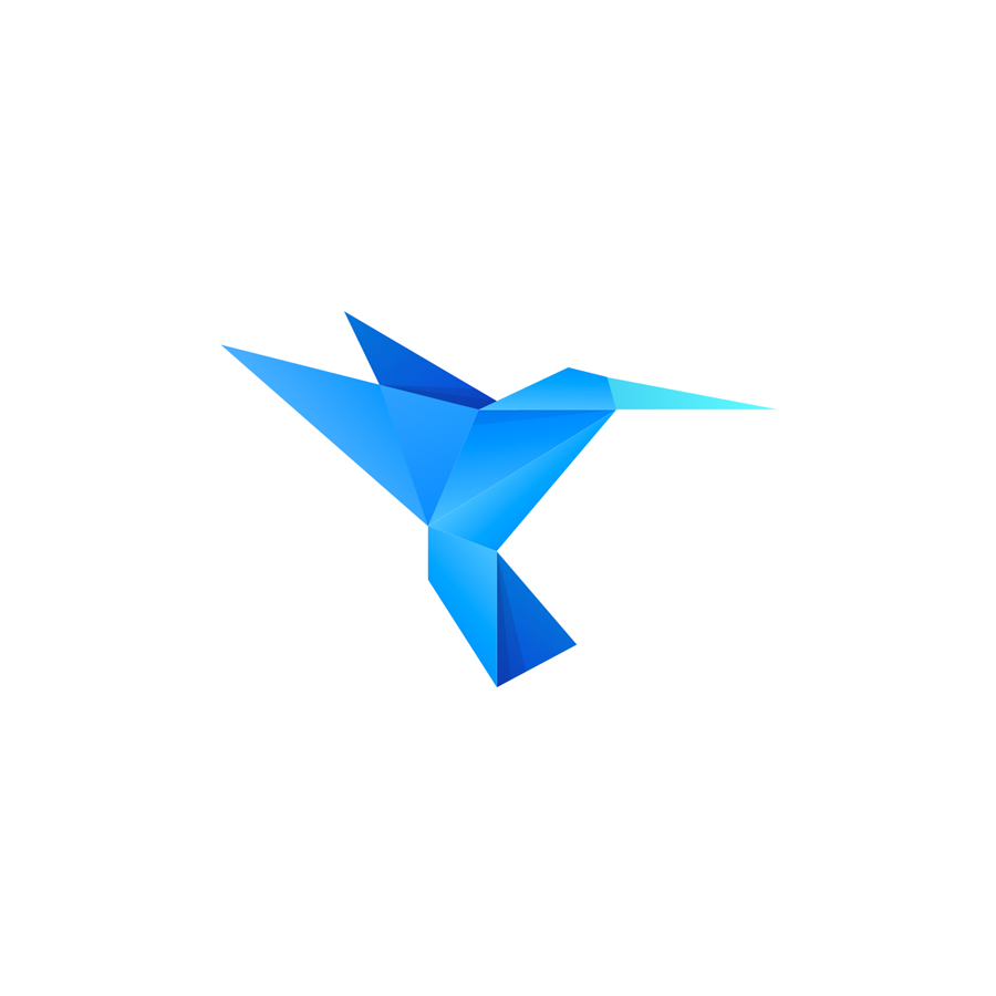 hummingbird-one.png