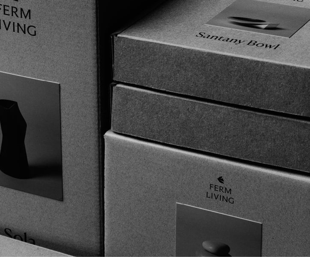 Frame 1000003043-2.png