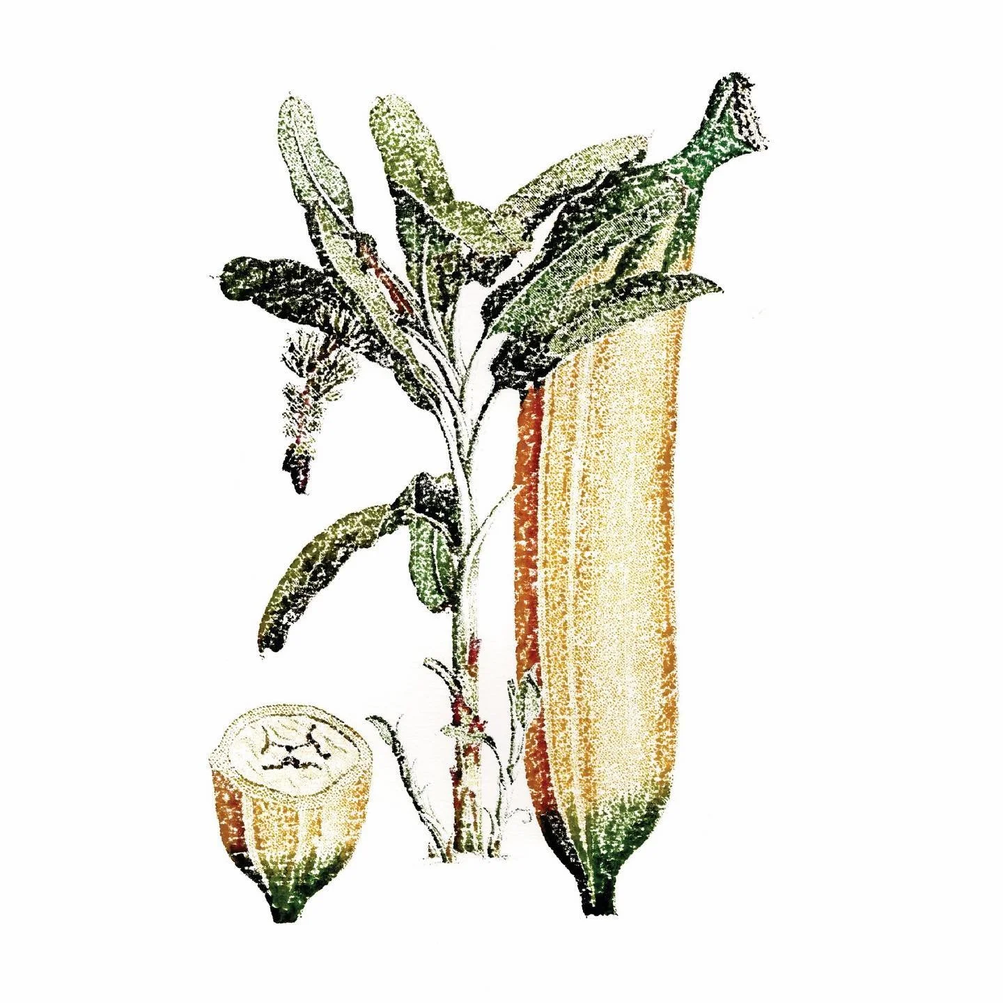 Al Maha Al Muftah&rsquo;s Risograph printer experiments for the Edible Lab Graphic Design Course

The Risograph Printer offered at the printlab is a technique best described as digital screen printing&rsquo;!