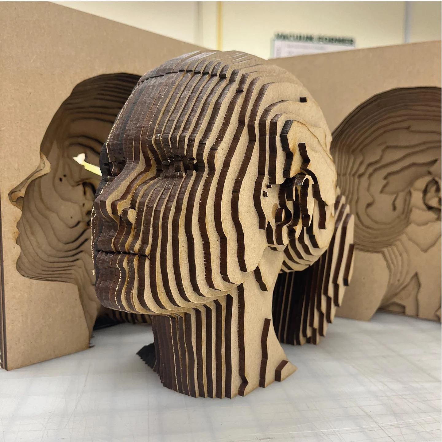 Behind the Scenes: Creation of Genevieve
//
Utilizing various additive and subtractive methods to design and produce every part of the ballerina's dissected body.
//
To learn more about each technique, visit the Labs and have a chat with us!