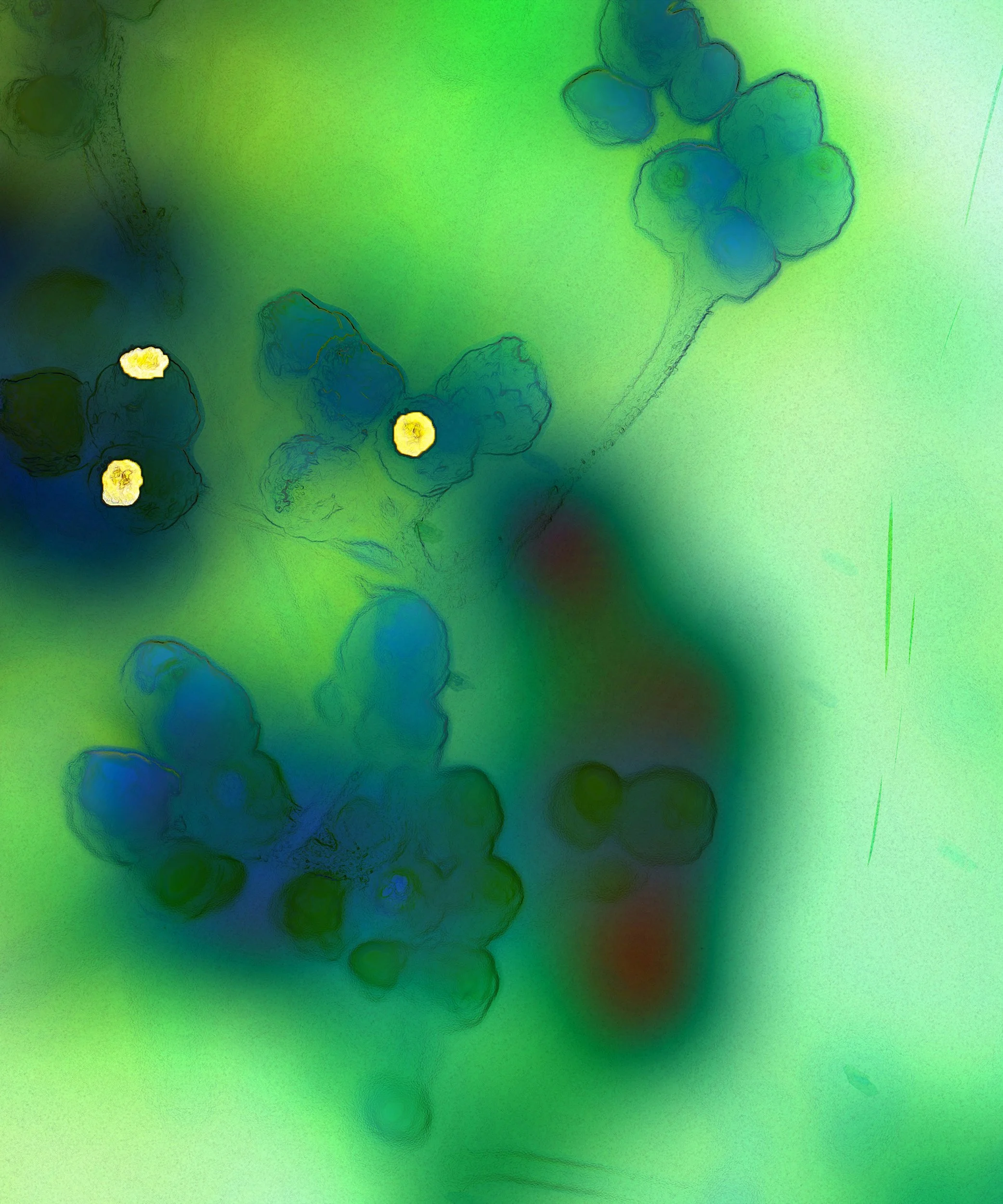 Cudweed Panel 3.jpg