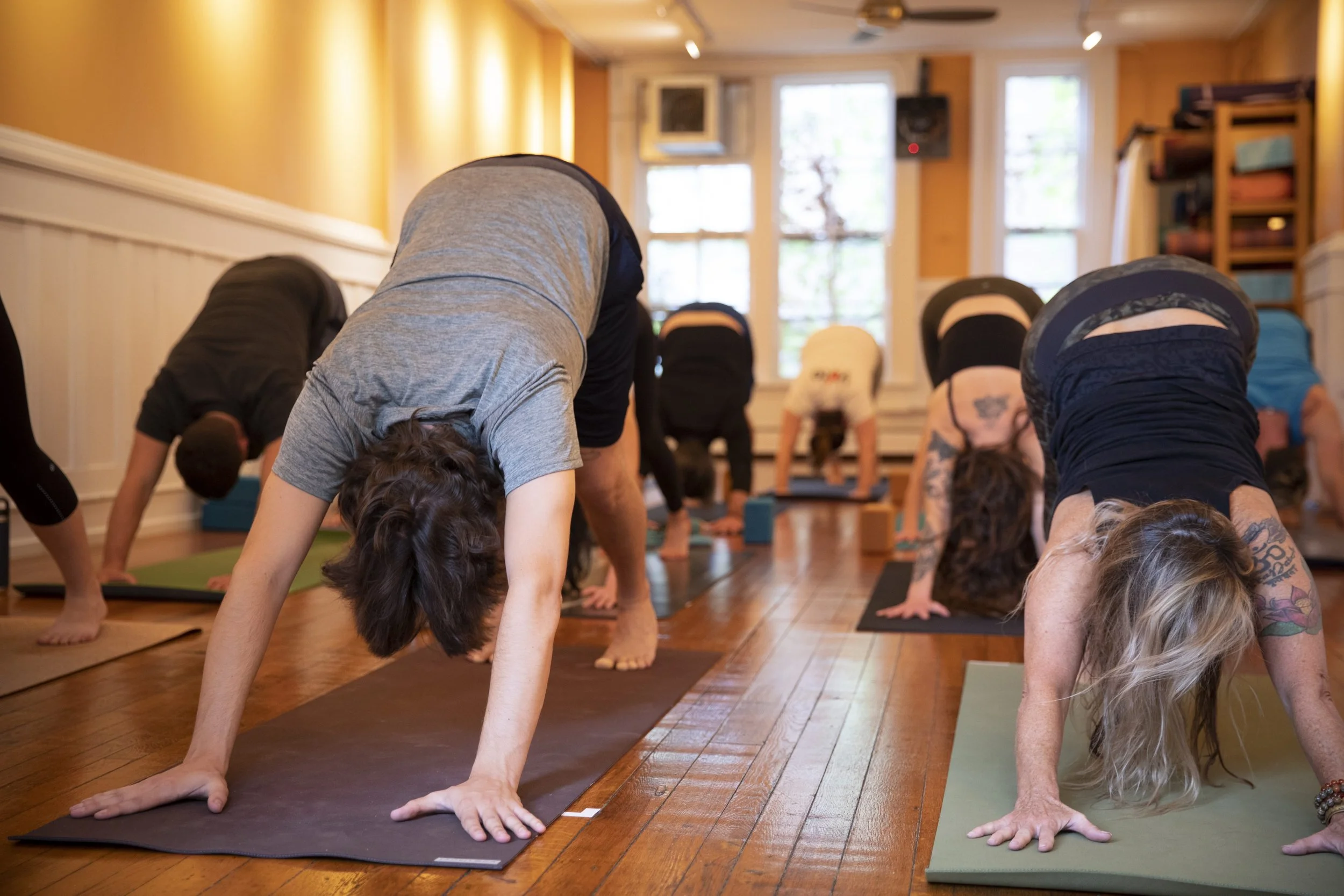 POP UP: The Vinyasa is the Heart of the Practice (Ithaca)