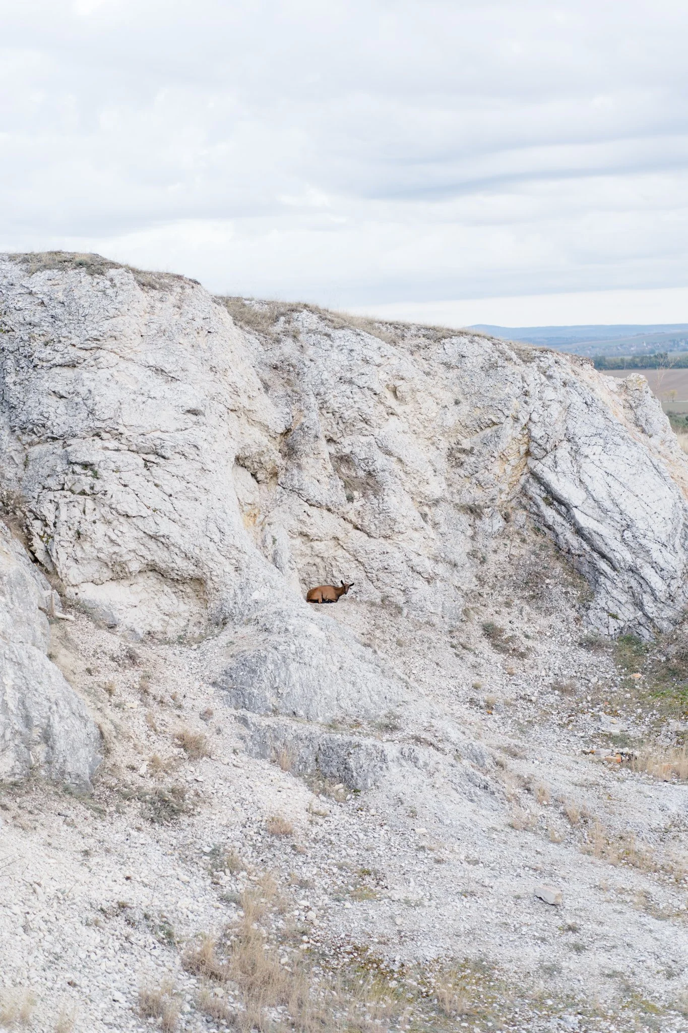 2025 • 2026 évátfordulásban