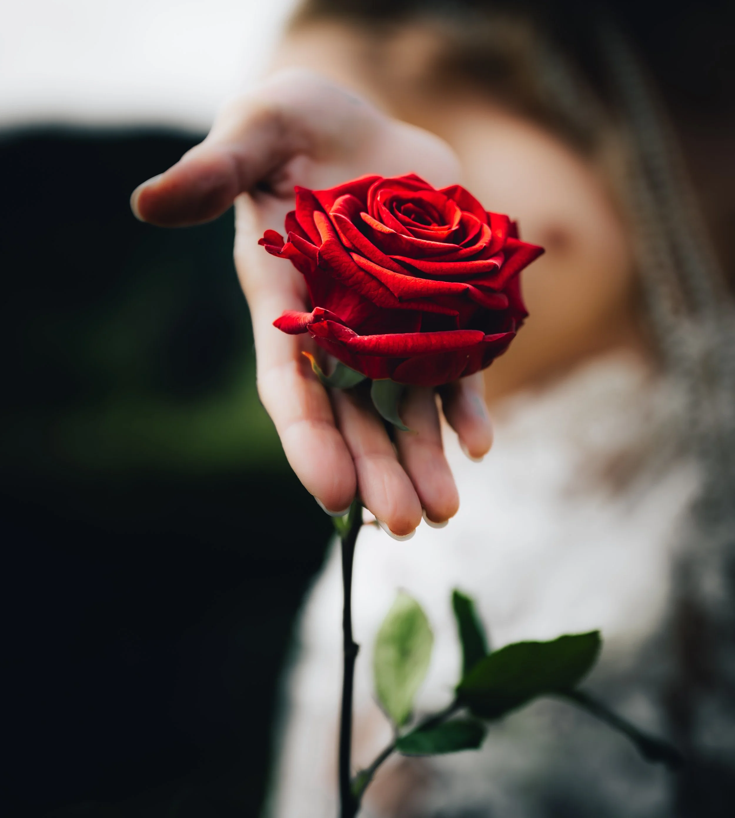 BABKA Lena - A Rose speaks of Love silenty.jpg