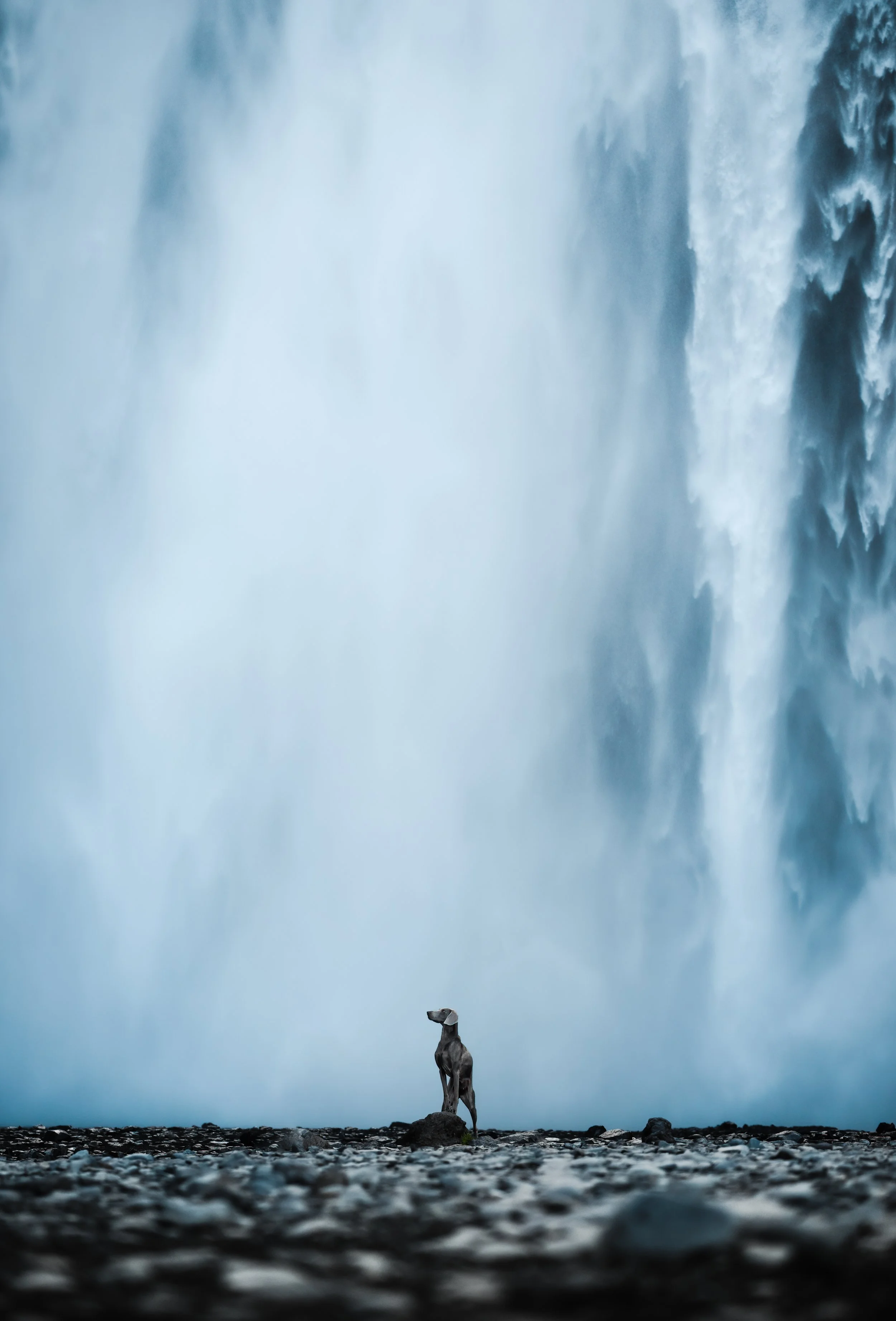 So Proud - Skogafoss Waterfall, Rangárþing Eystra, Iceland 2024/06