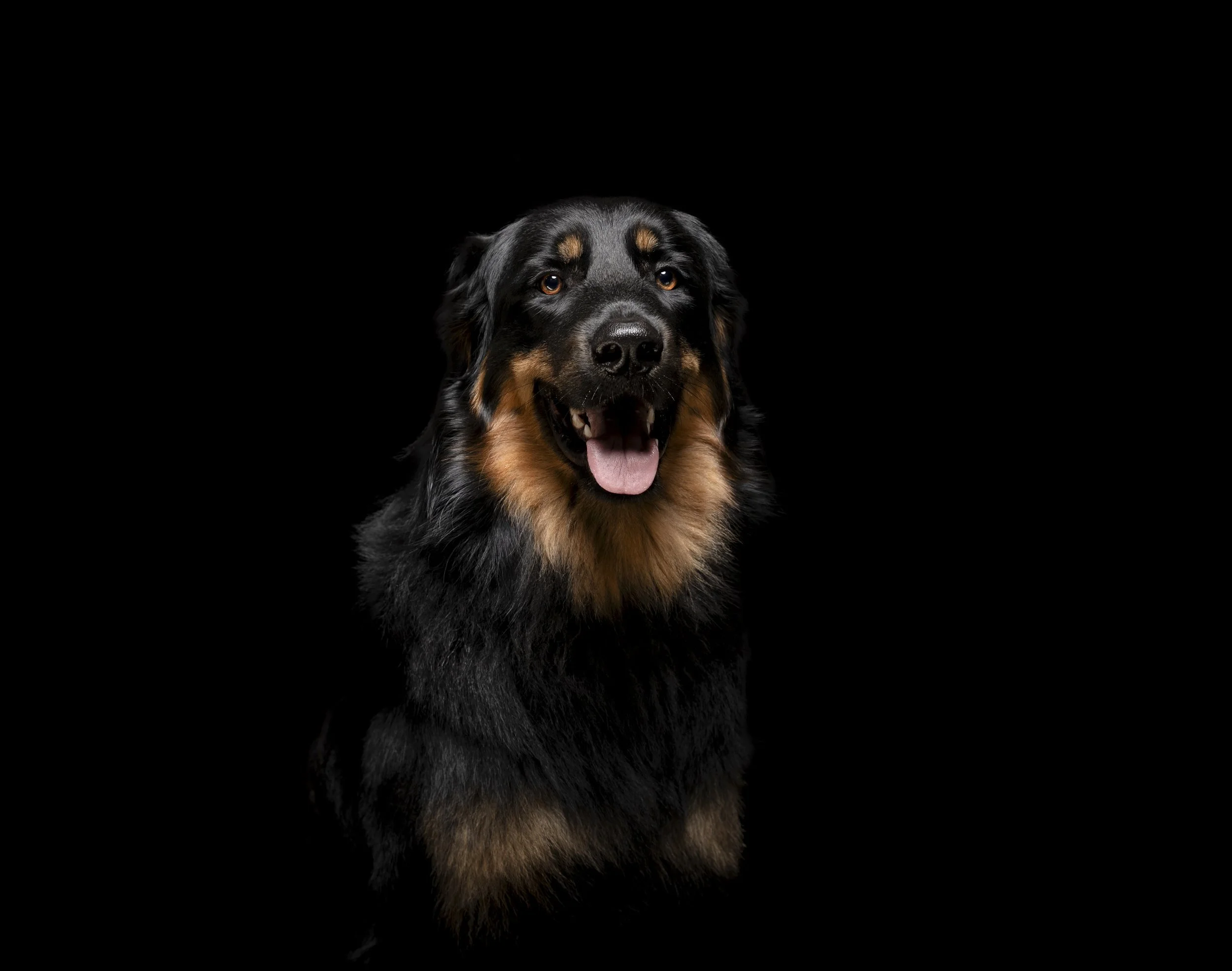 Fond-de-Gras, Niederkorn, Luxembourg 2025/12