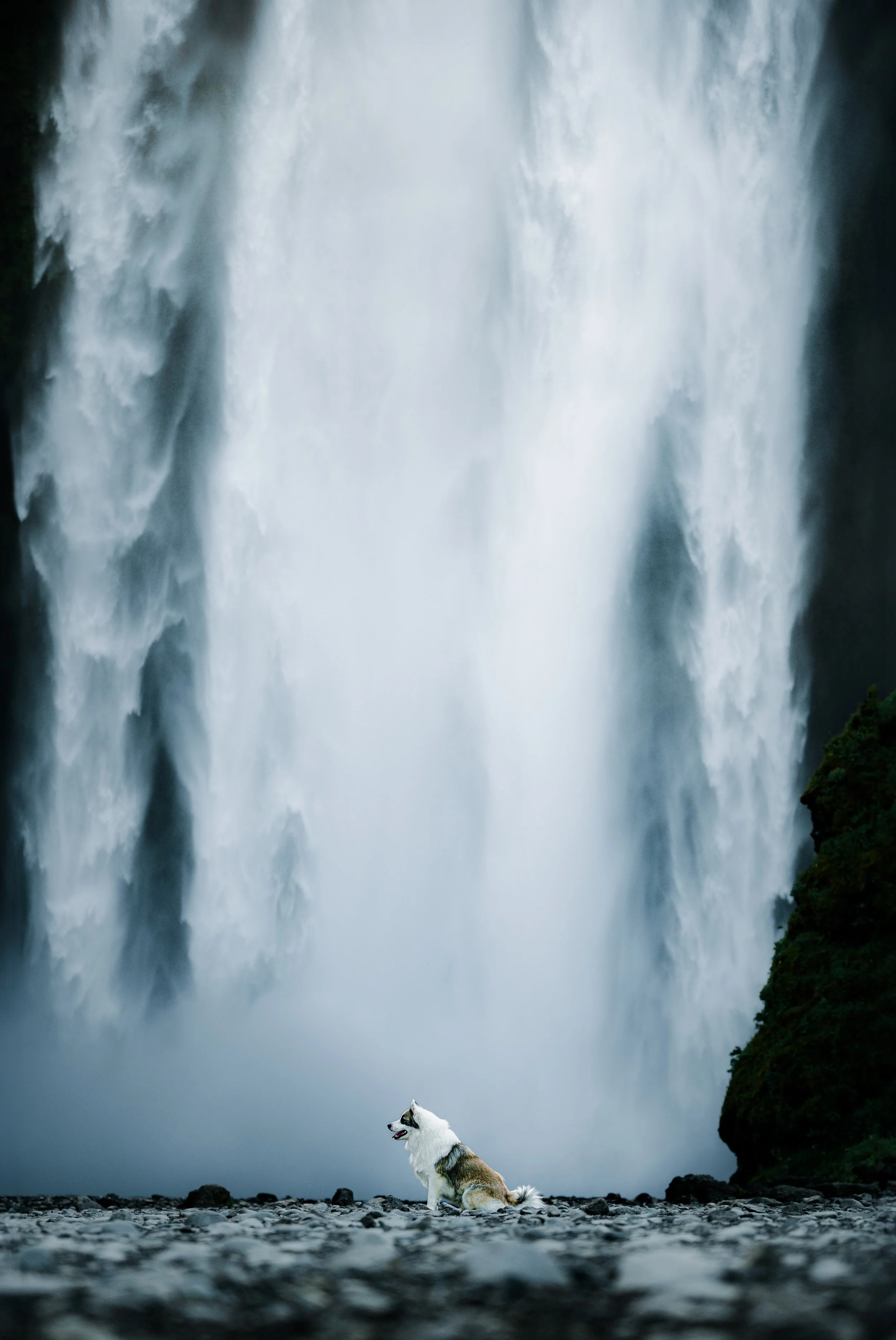 Frozen - Skogafoss Waterfall, Rangárþing Eystra, Iceland 2024/06