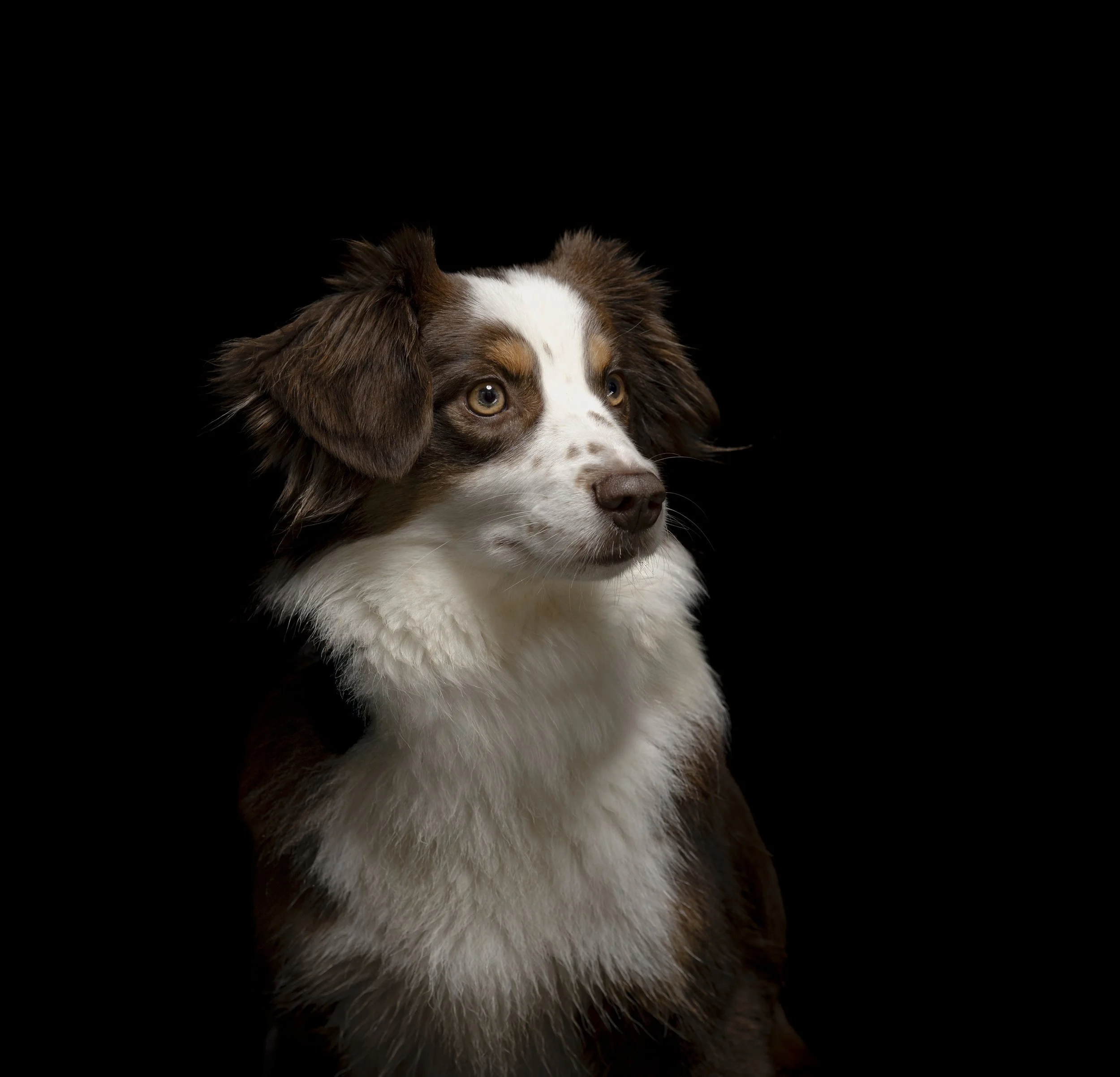 Fond-de-Gras, Niederkorn, Luxembourg 2025/12