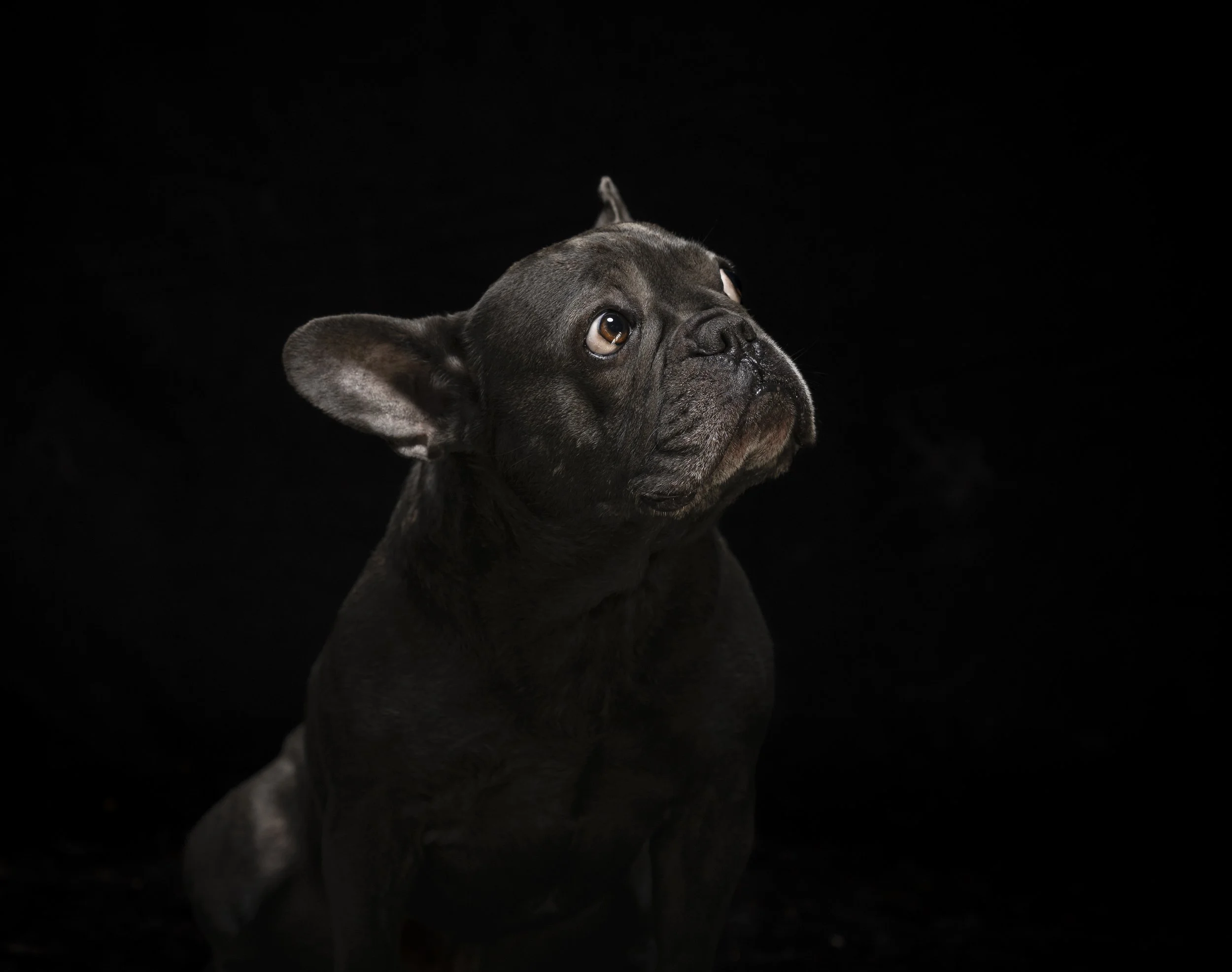 Fond-de-Gras, Niederkorn, Luxembourg 2025/12