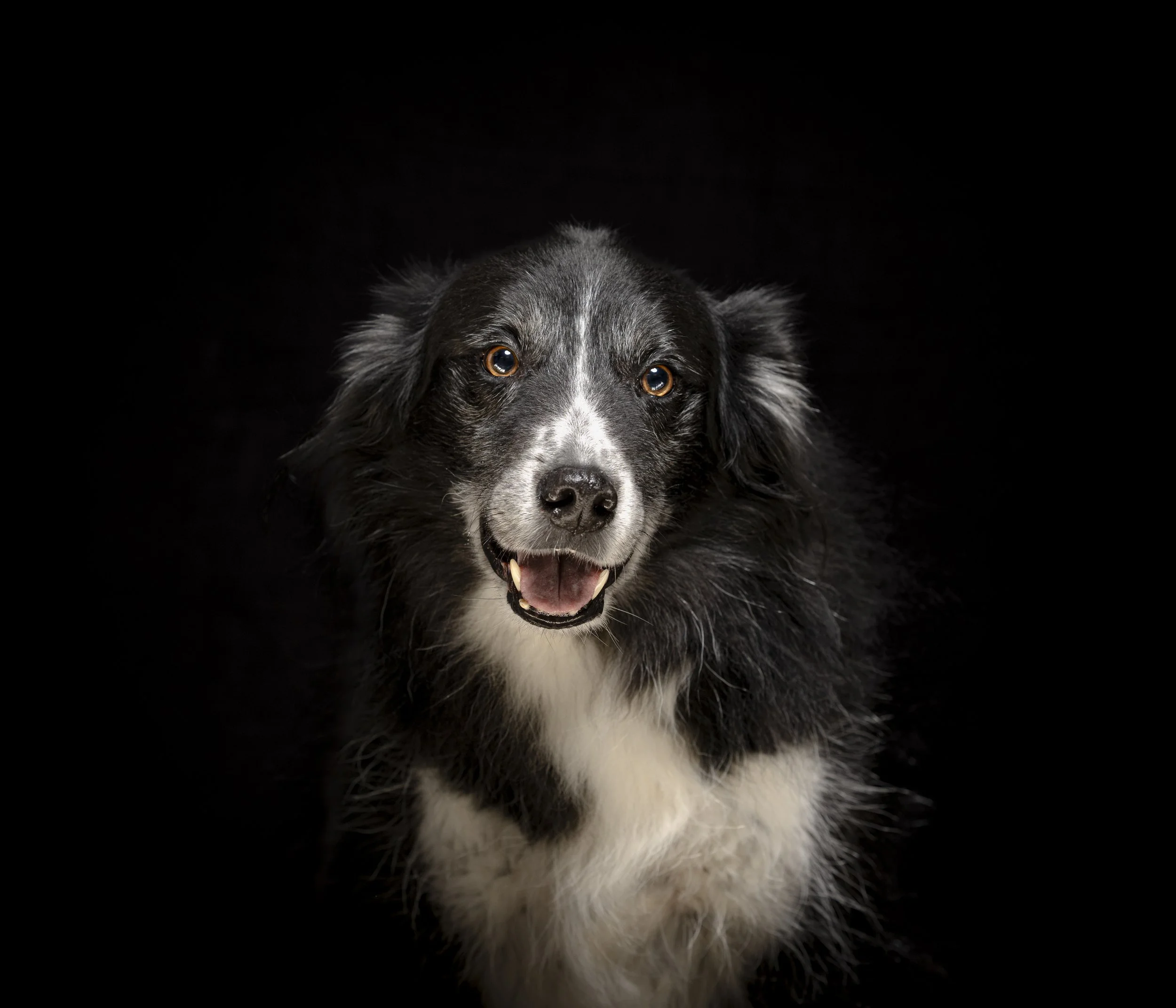 Fond-de-Gras, Niederkorn, Luxembourg 2025/12