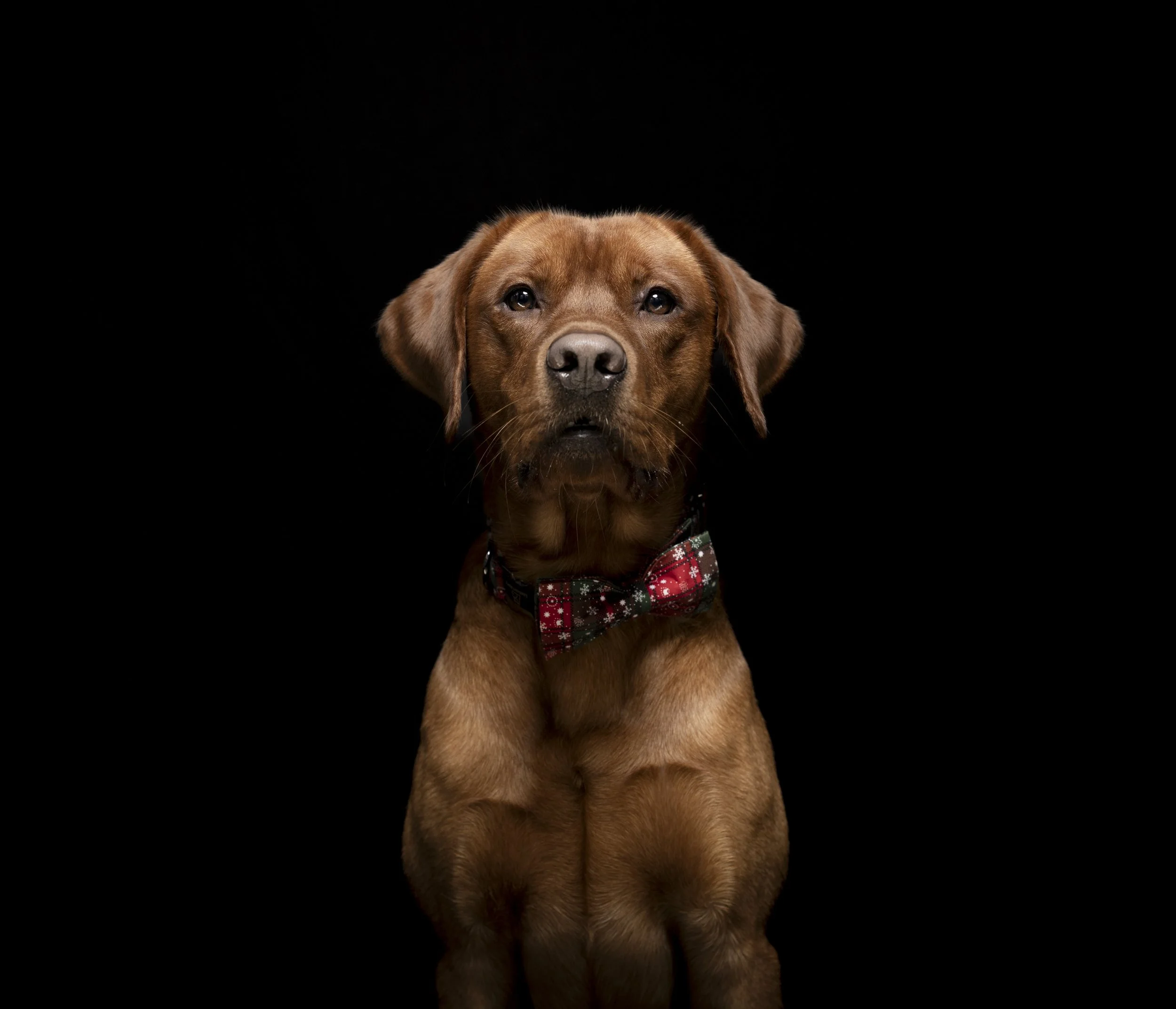 Fond-de-Gras, Niederkorn, Luxembourg 2025/12