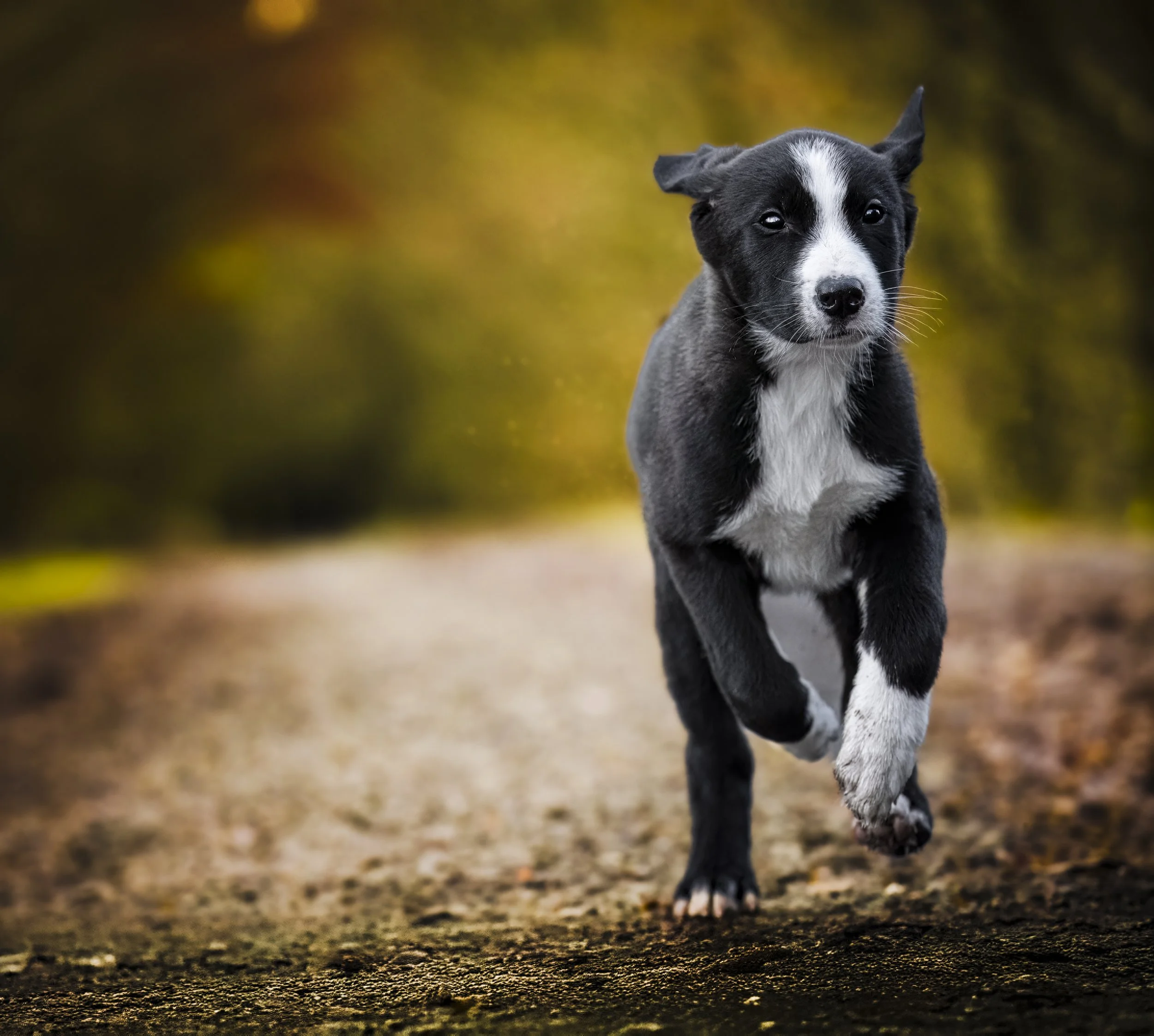 Come to Mom - Hosingen, Luxembourg 2024/04