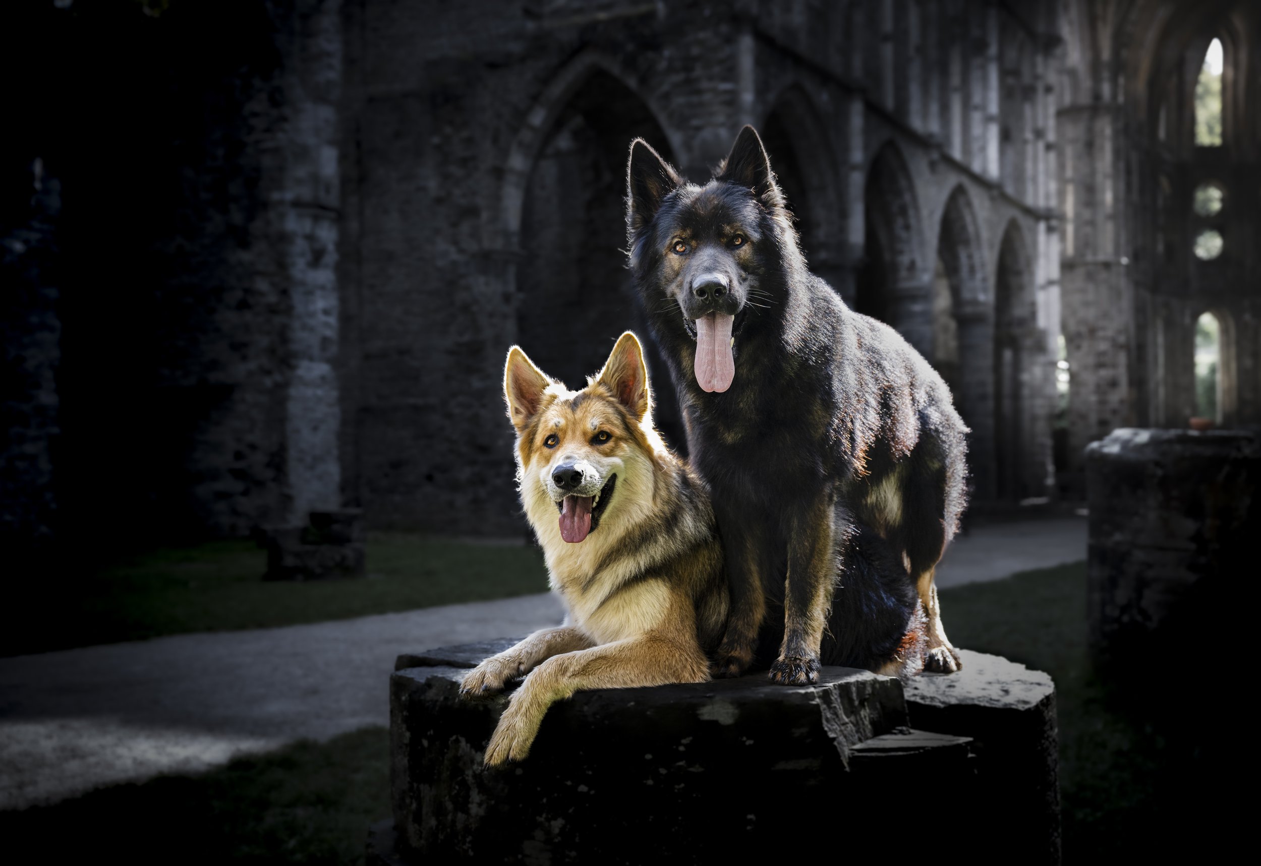 The Guardians of the Castle - Villers-la-Ville, Belgium 2023/08