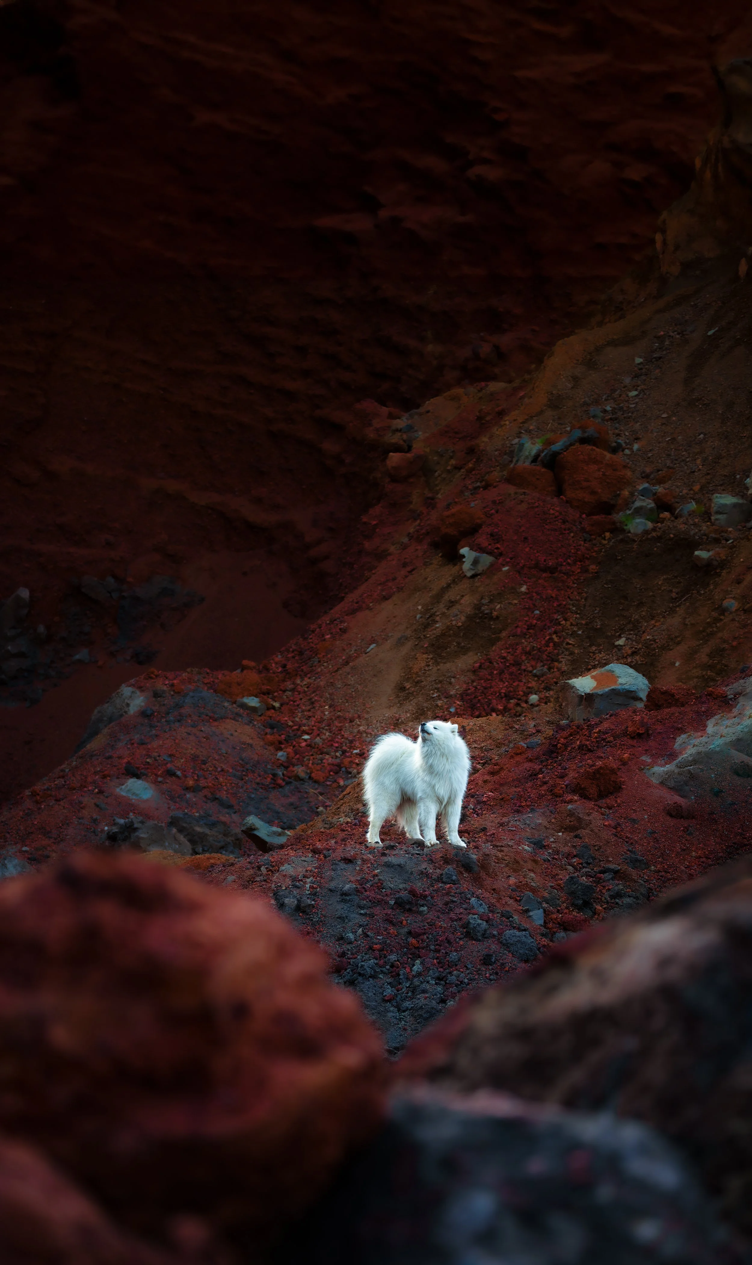 Howling at the Moon - Búrfellsvegur, Iceland 2024/06