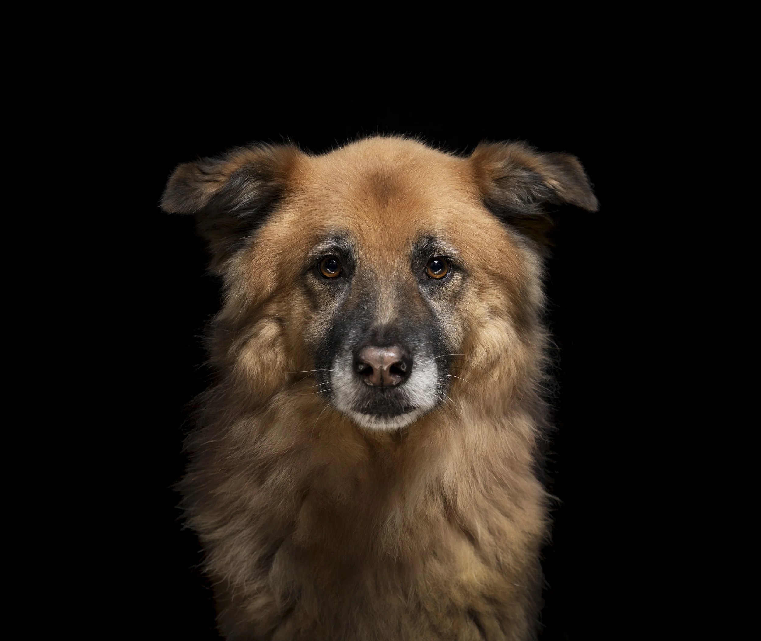 Fond-de-Gras, Niederkorn, Luxembourg 2025/12