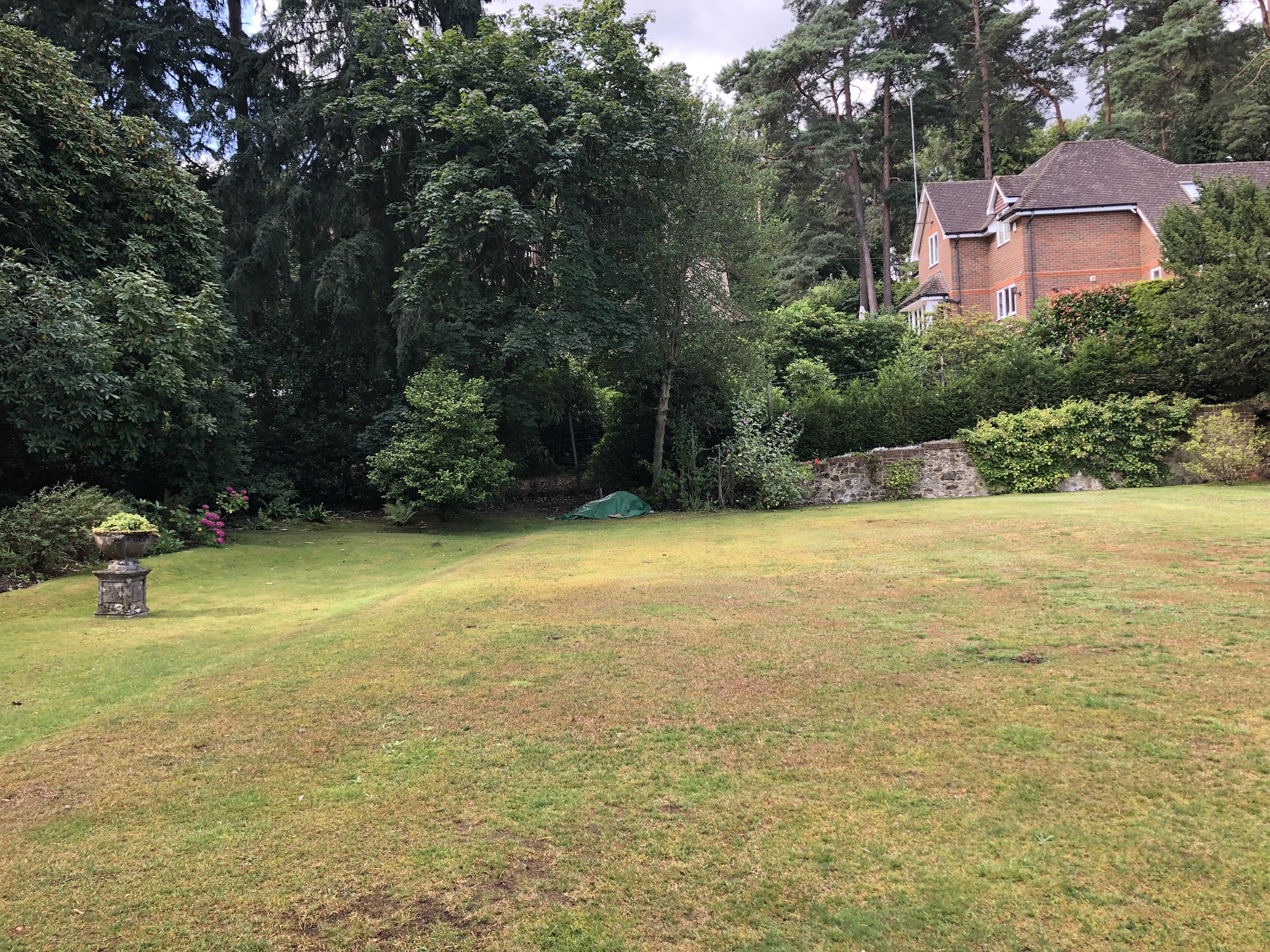 Jonathan_Todd_Garden_Landscape_Design_Gold_Hill_Farnham_Surrey_used1.jpg