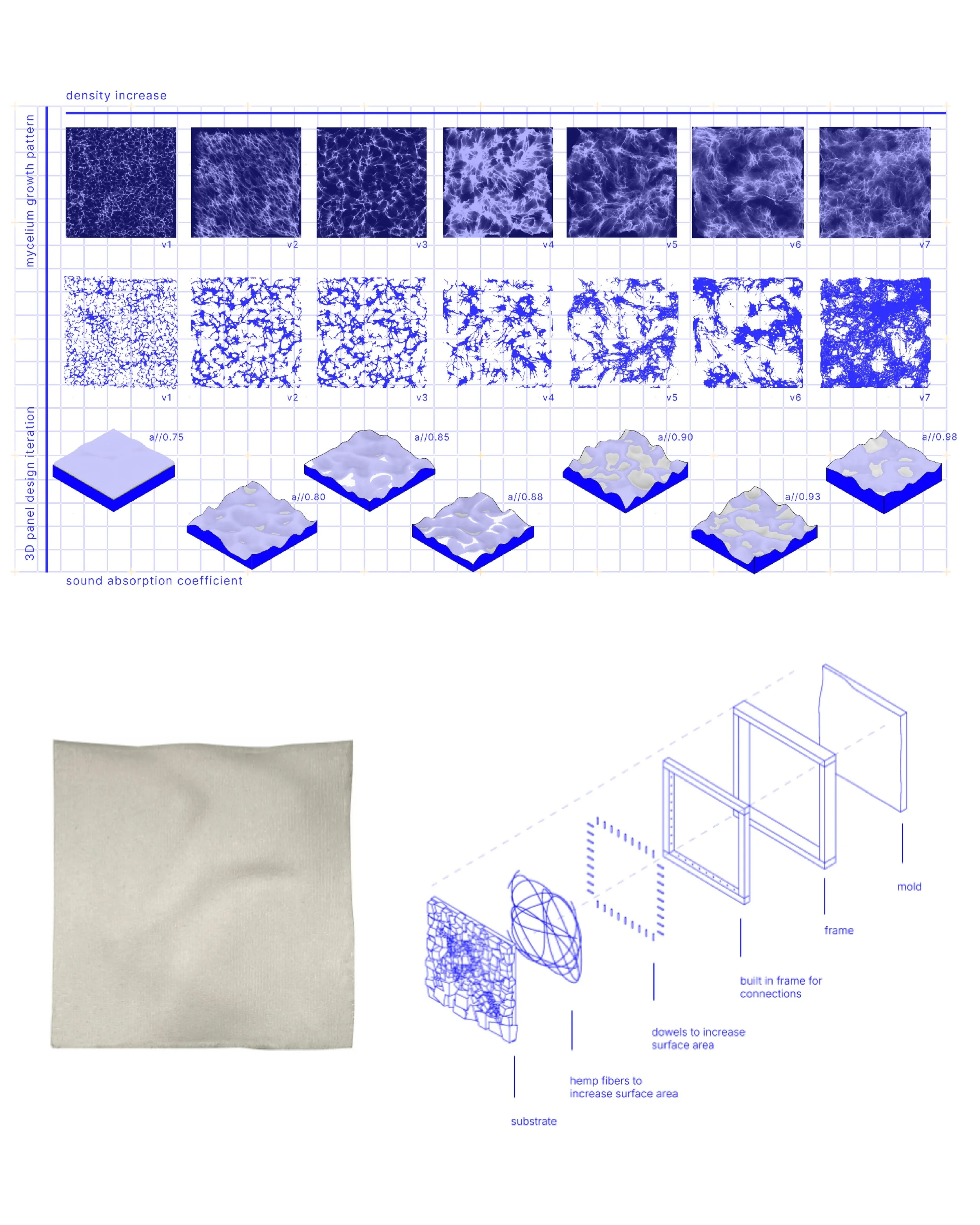 01_Mushroom_1.3.jpg