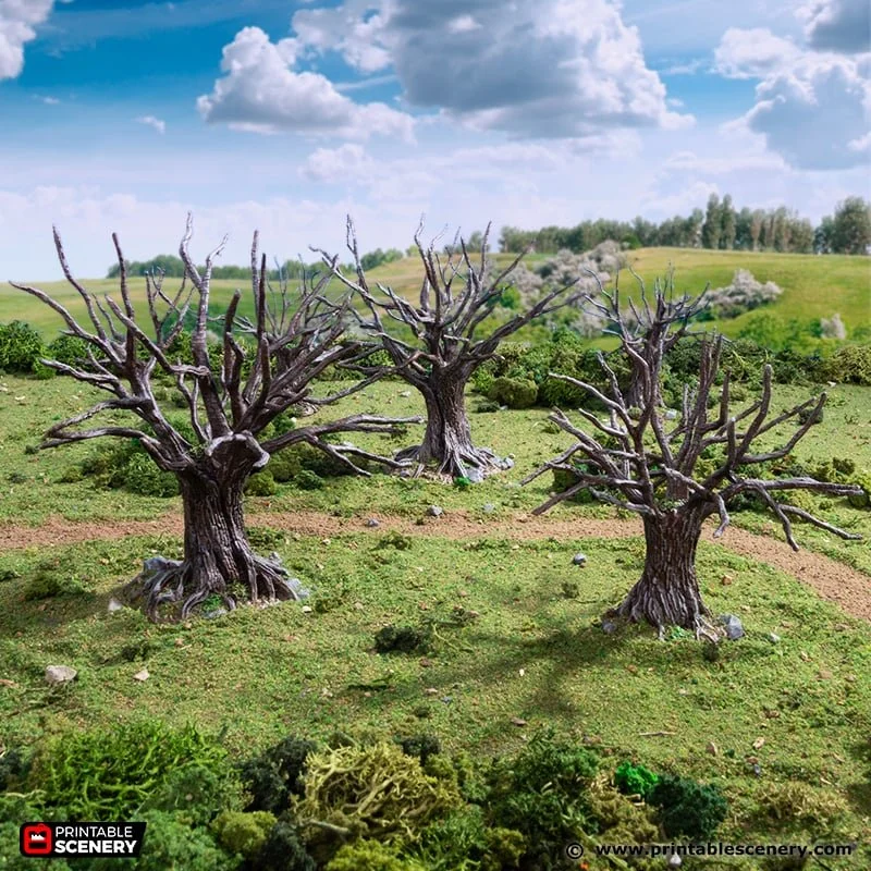 Oak_Trees_1.jpg