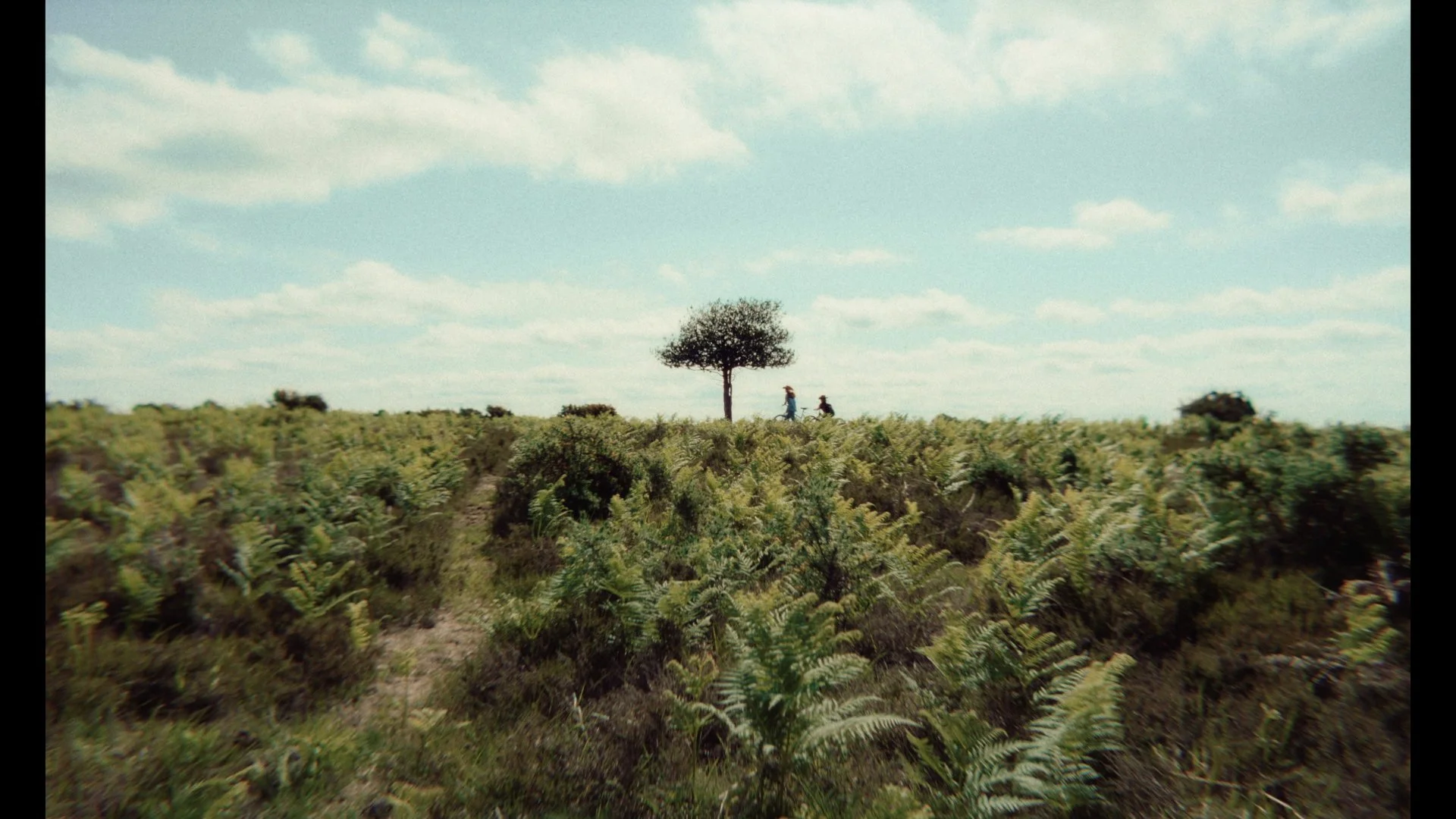 BB_STILL18.jpg
