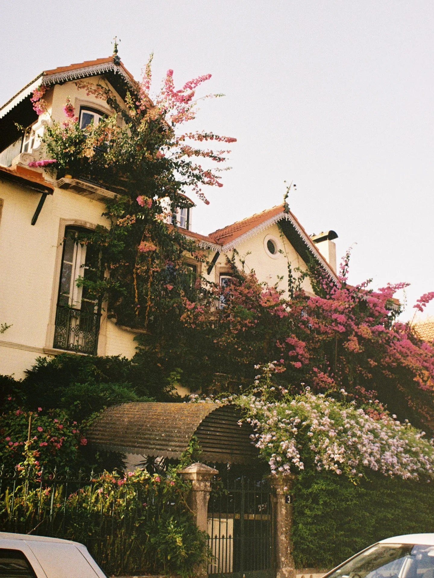 Some of my top favorites shot on film this year 
Which one is your favorite? (1-13)
#onfilm #kodak