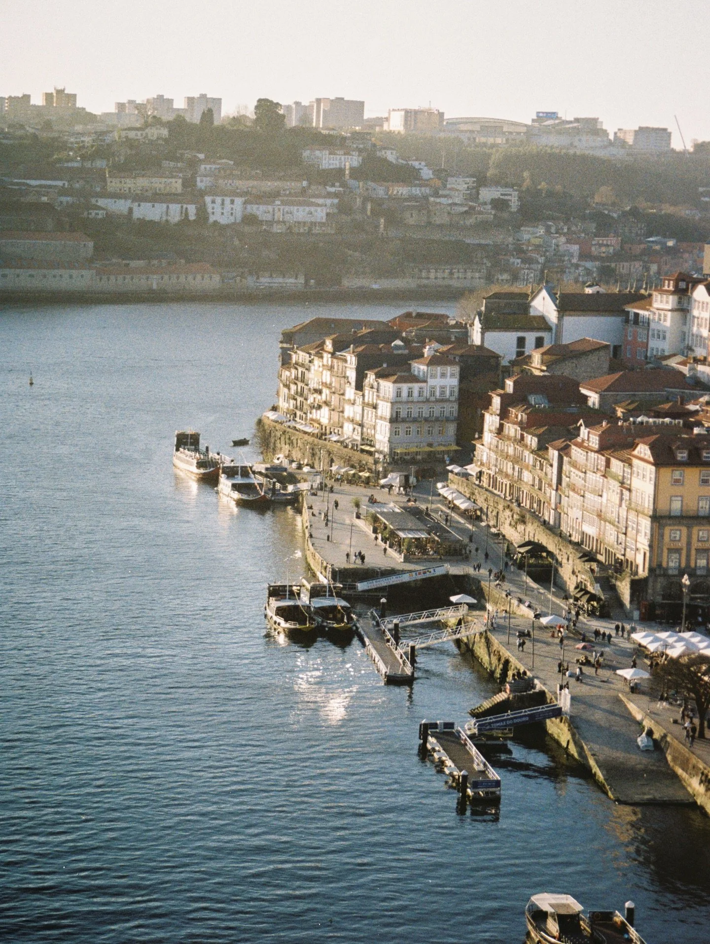 sunny golden hour in december III
Kodak ColorPlus 200
#onfilm #december #kodak
