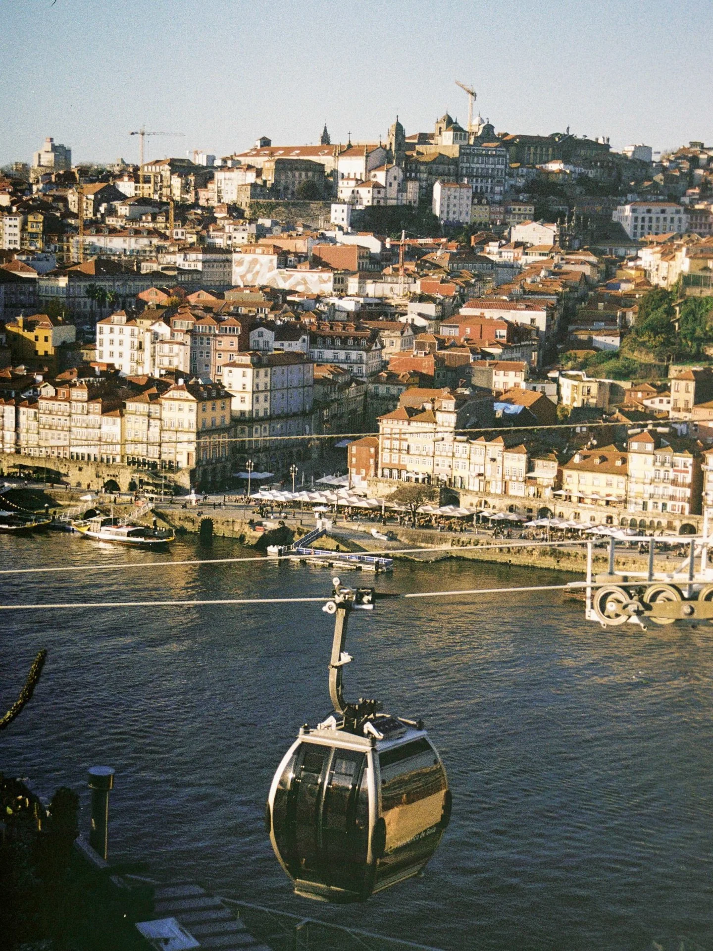 sunny golden hour in december 
Kodak ColorPlus 200
#onfilm #december #kodak