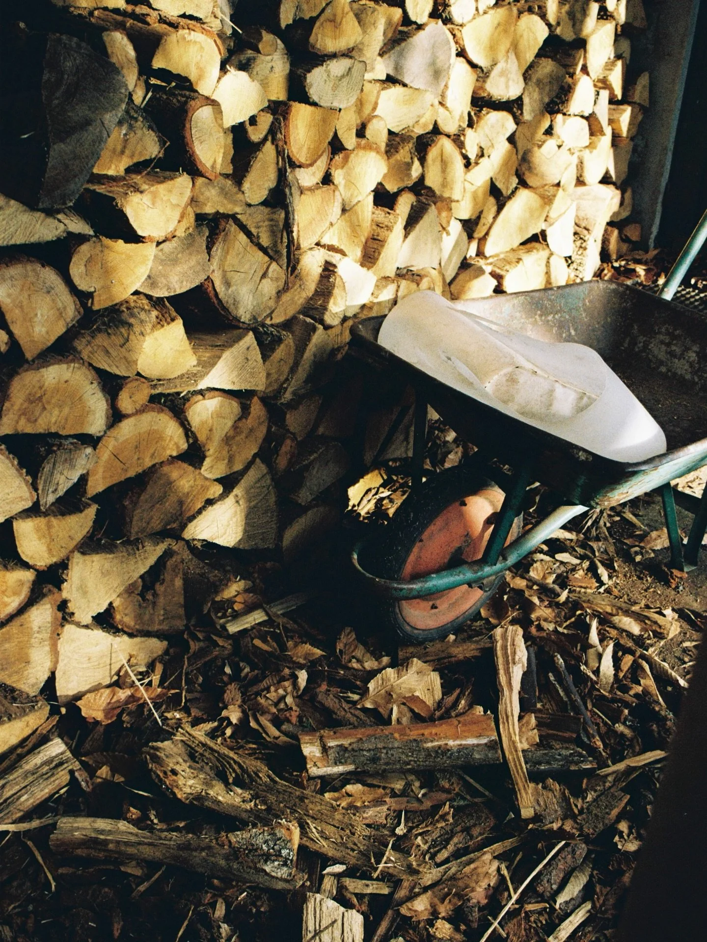 some stills at my grandma&rsquo;s home on film from january part II
kodak gold 200
#kodak #onfilm #serradomarao