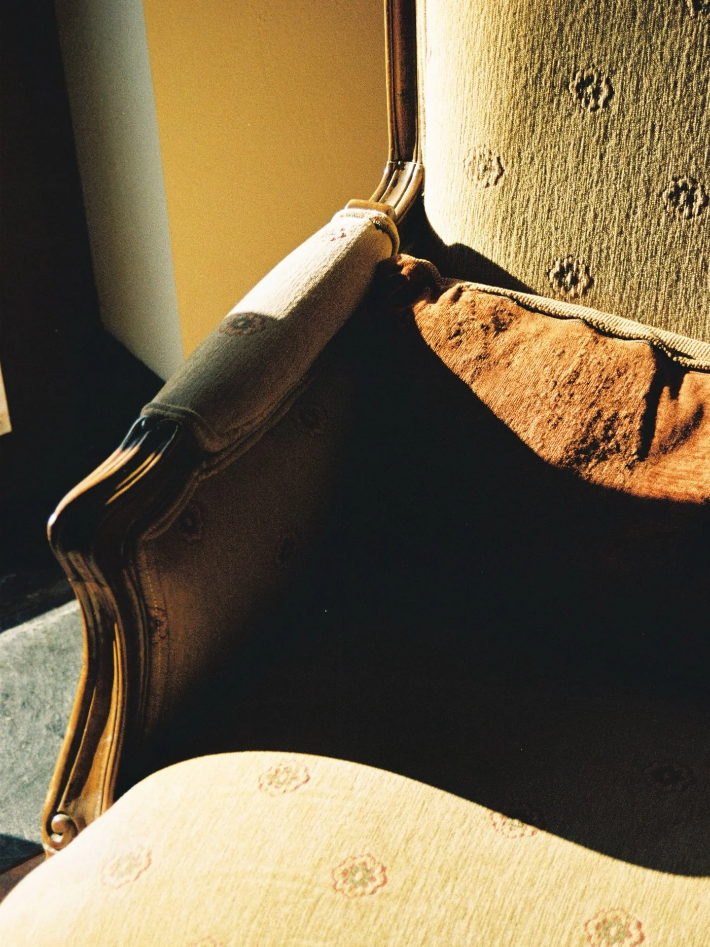 some details stills at my grandma&rsquo;s home on film from january part III
kodak gold 200
#kodak #onfilm #serradomarao