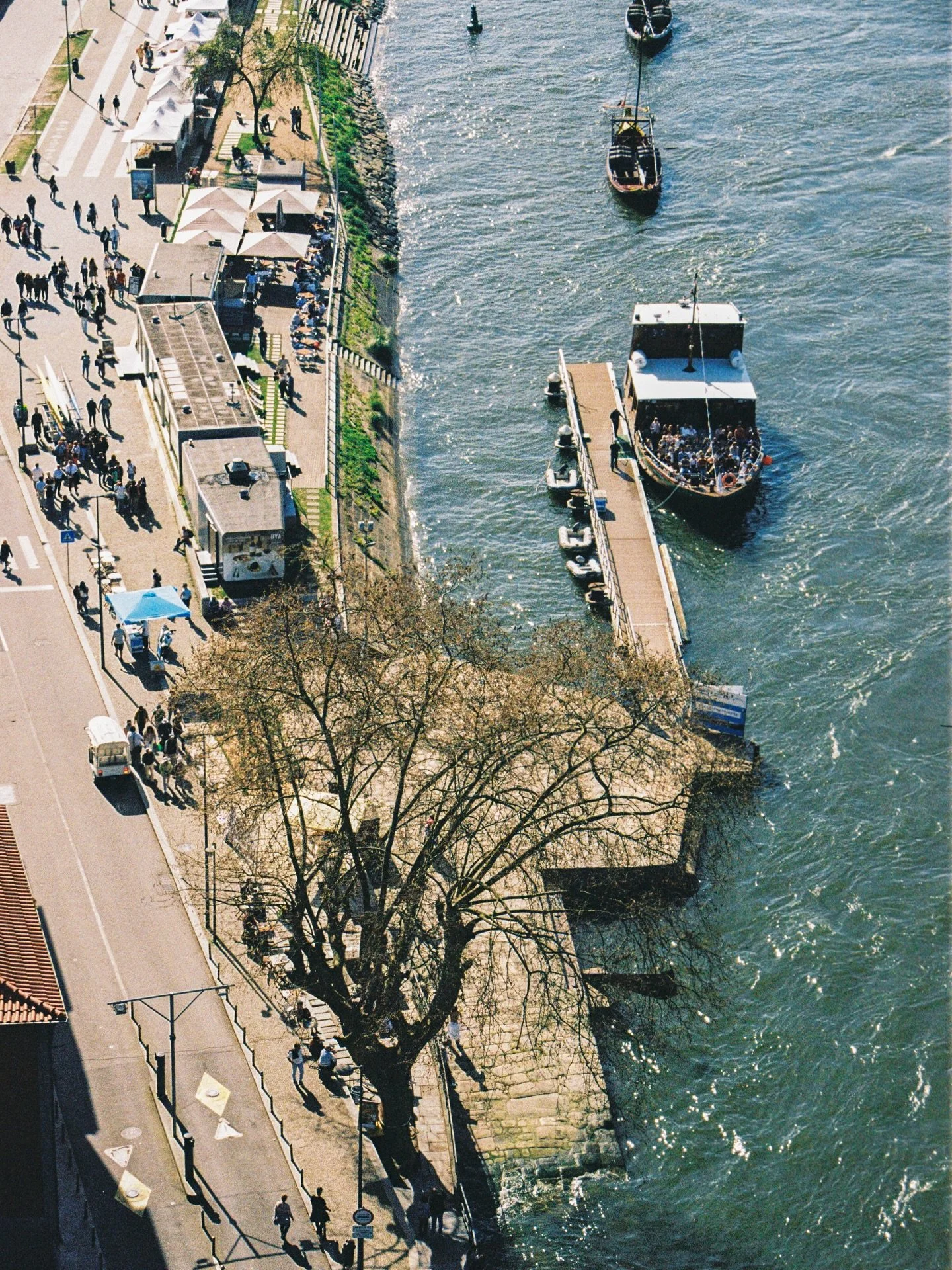 march on film
kodak gold 200
#onfilm #kodak #porto #gaia