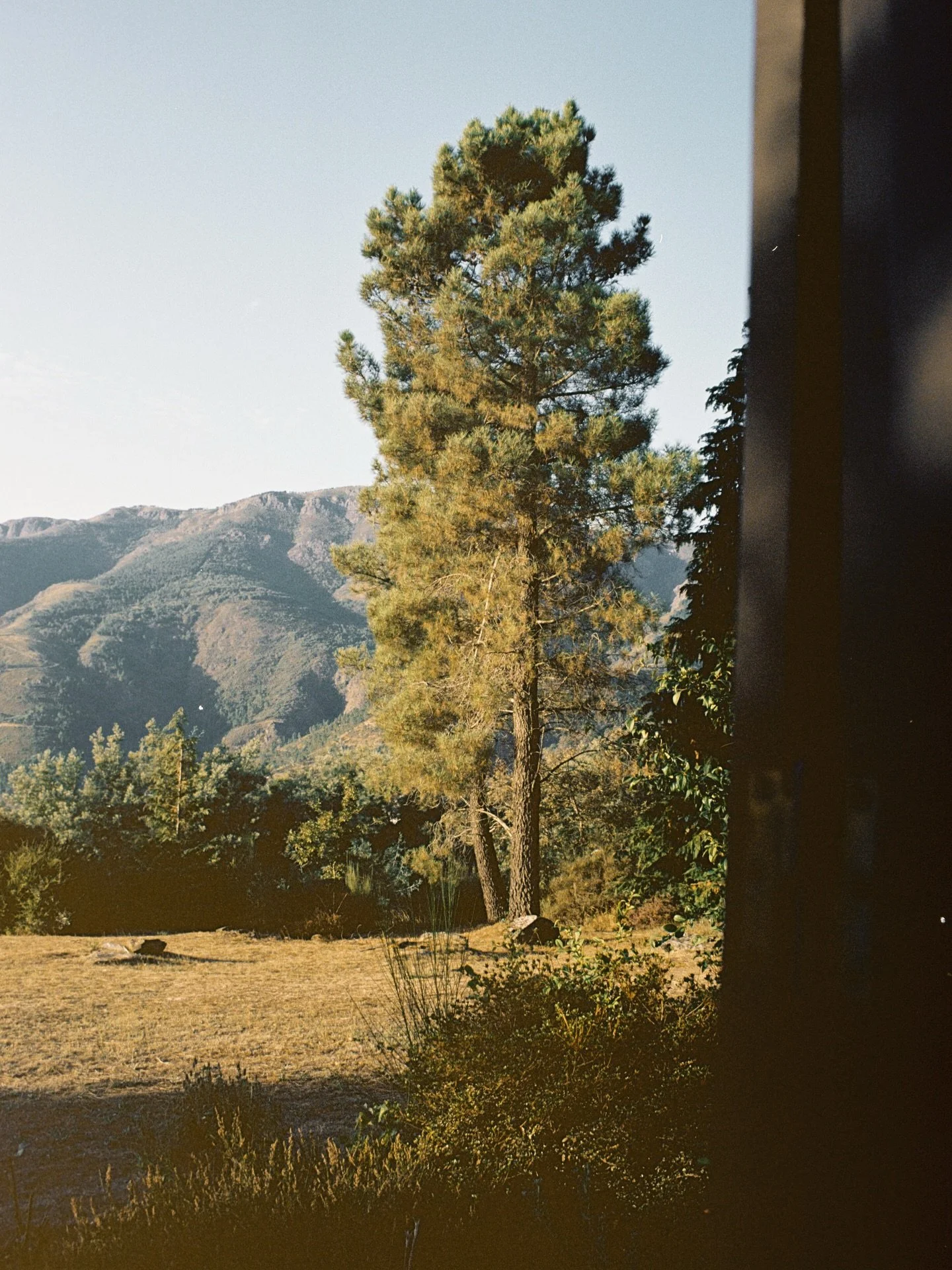 stills at my grandma&rsquo;s home on film 
kodak gold 200
#kodak #onfilm #serradomarao